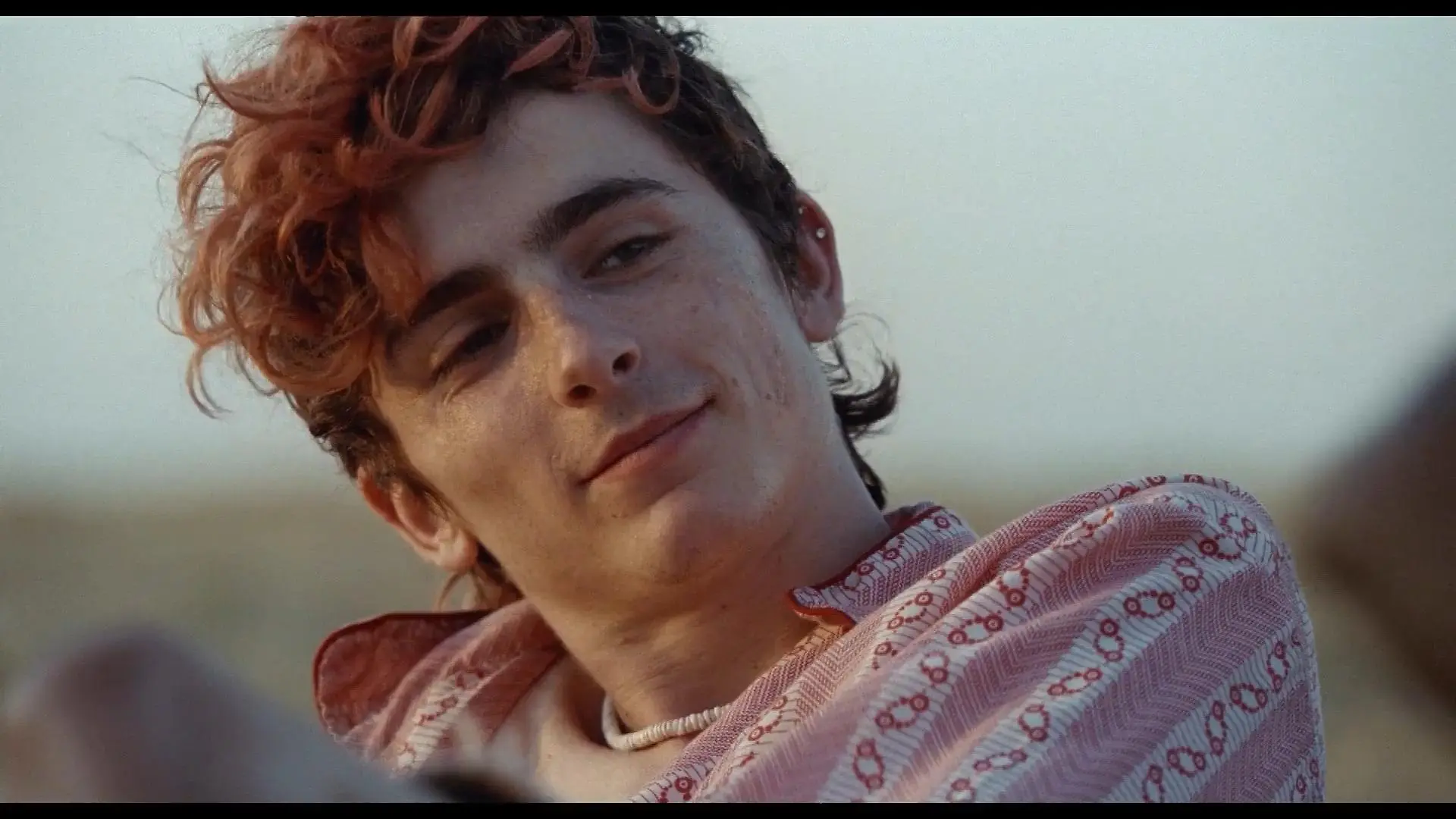 Timothée Chalamet als Kannibale in "Bones And All" Trailer Bones And All