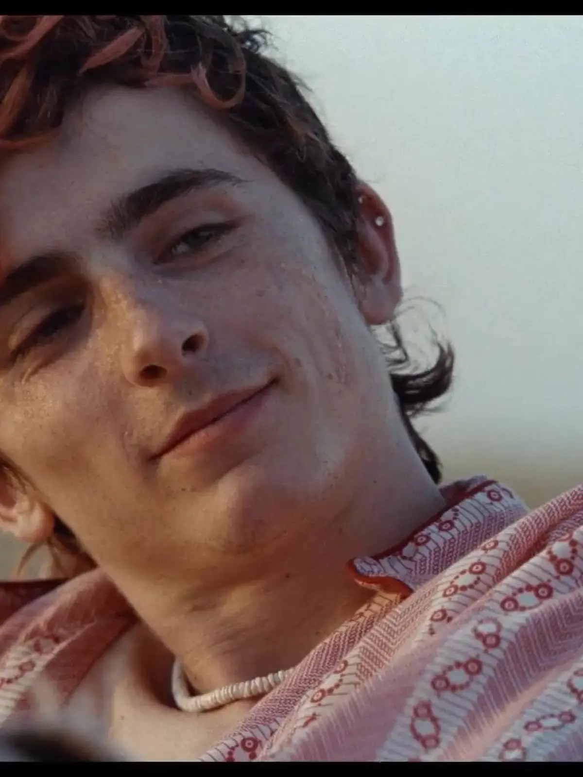 Bild zu: "Timothée Chalamet als Kannibale in "Bones And All""