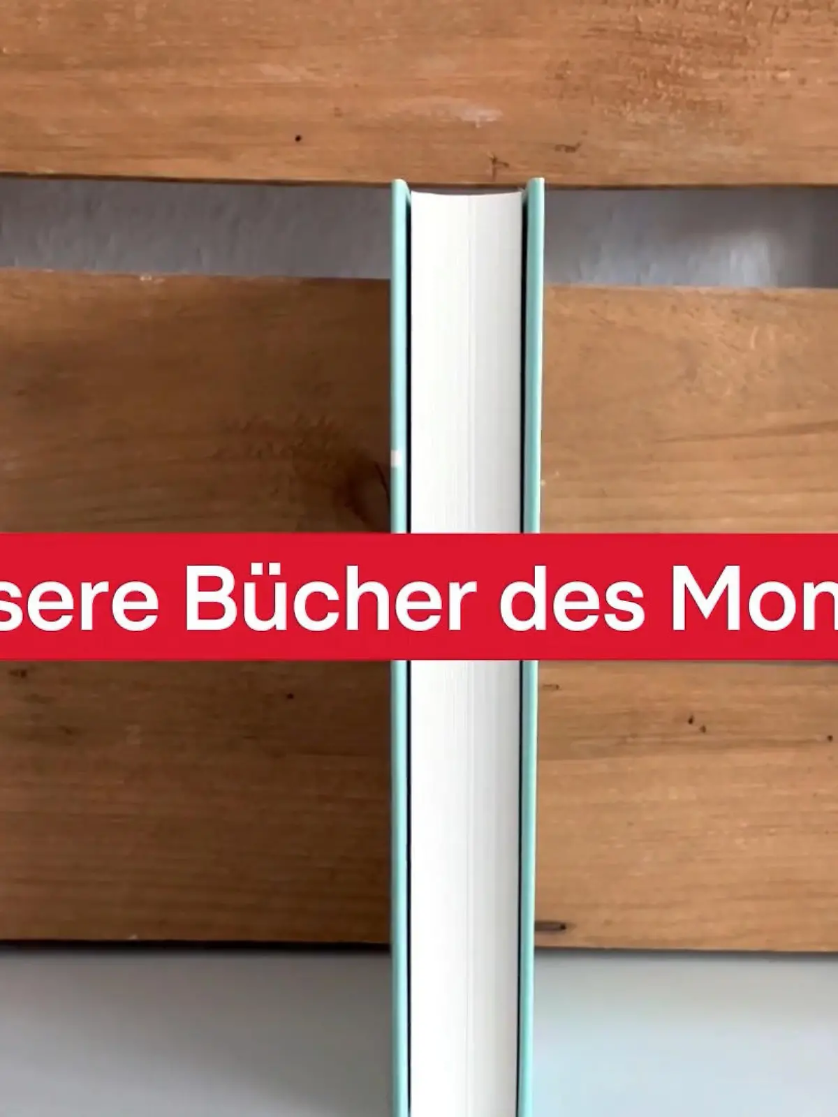 Bild zu: "Bücher des Monats November"
