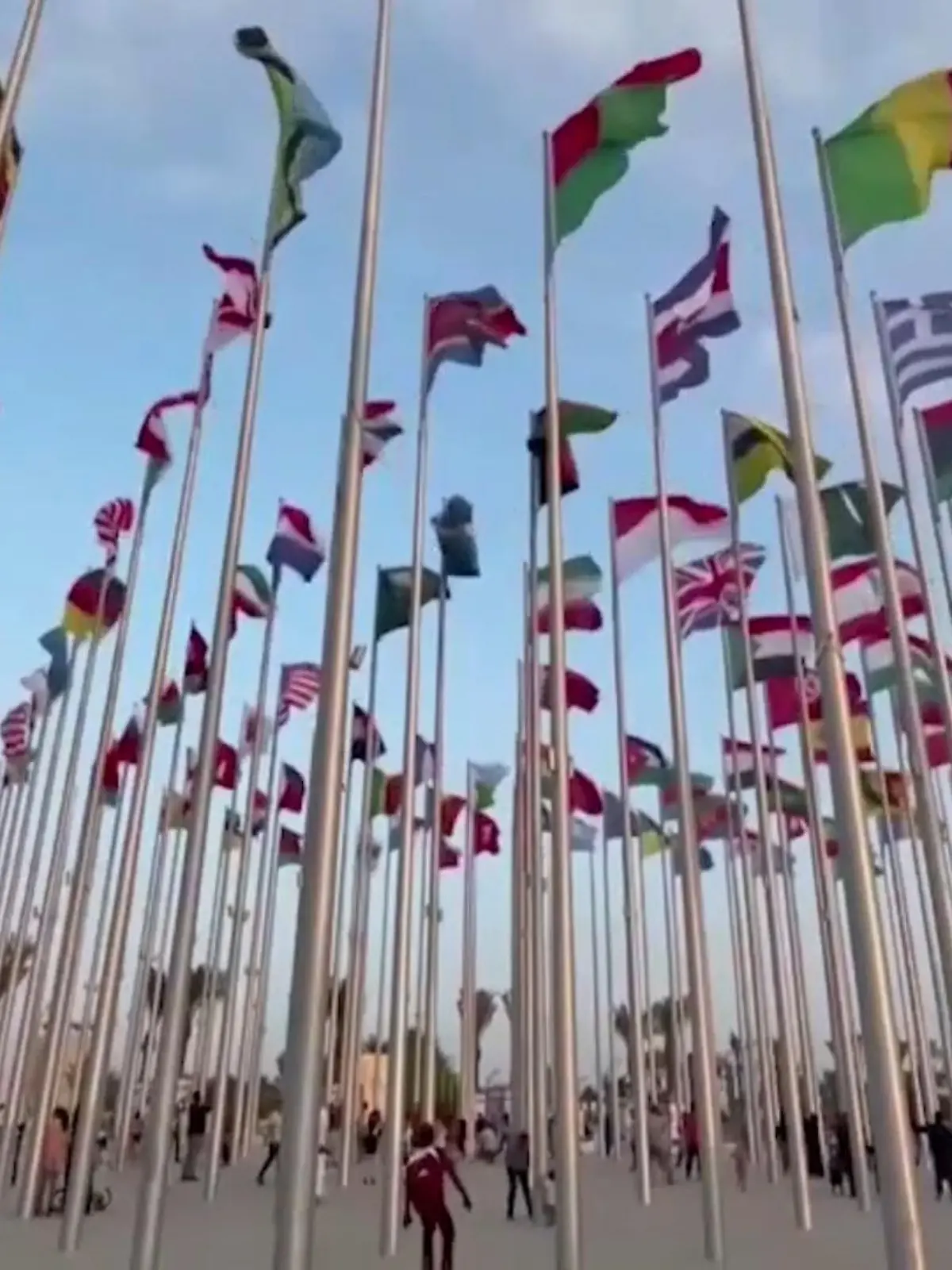 Bild zu: "Rote Karte statt Regenbogen - Reportage Katar"