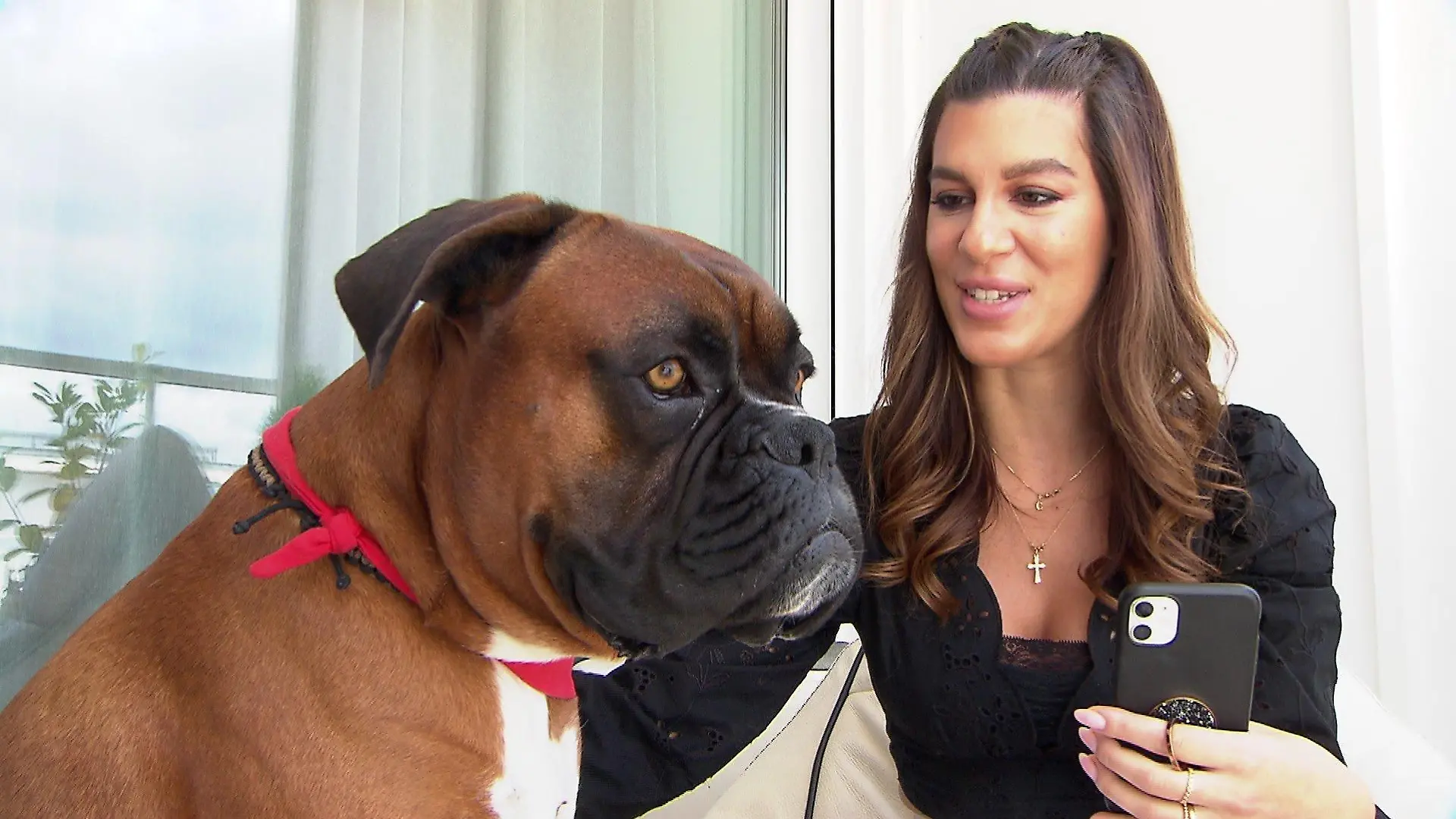 Lisa (31) und ihr Boxer "Charles" sind Petfluencer