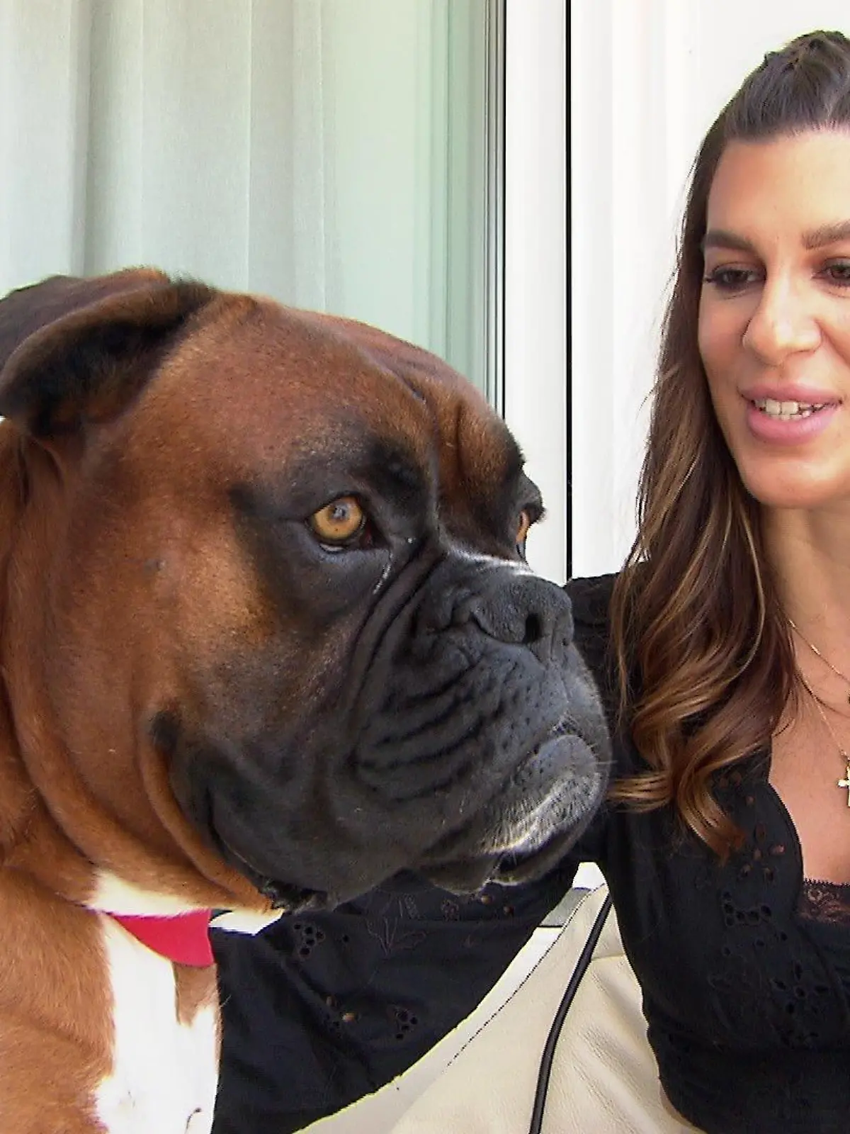 Lisa (31) und ihr Boxer "Charles" sind Petfluencer