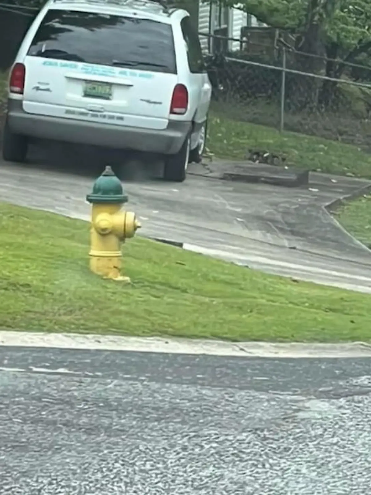 Stellen Sie sich vor, Sie fahren durch eine ruhige Nachbarschaft im US-Bundesstaat Alabama und sehen plötzlich etwas, das Sie nur aus Horrorfilmen kennen: Chucky, die Mörderpuppe wartet nämlich am Straßenrand auf Sie.