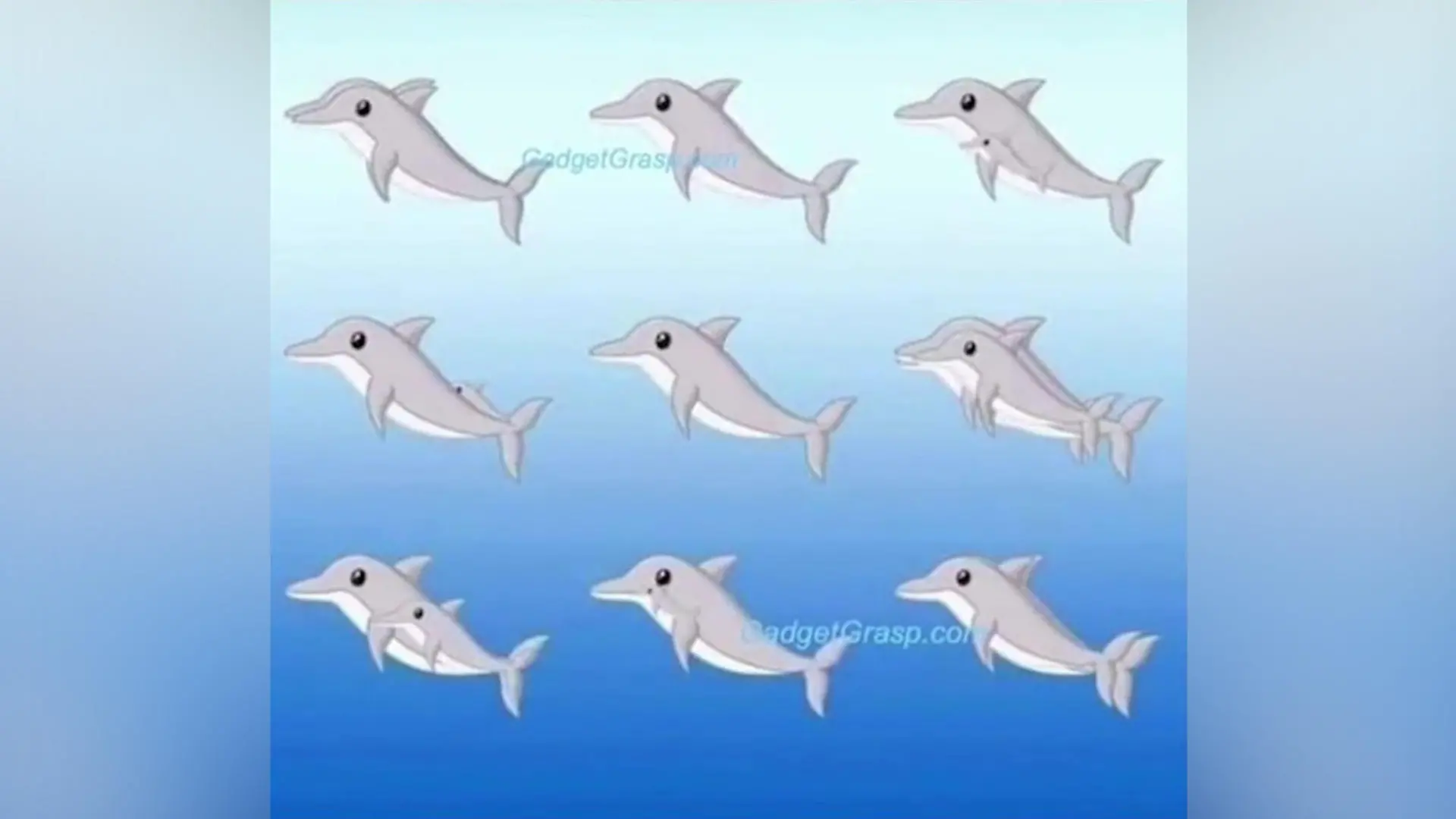 Optische Täuschung Delfine