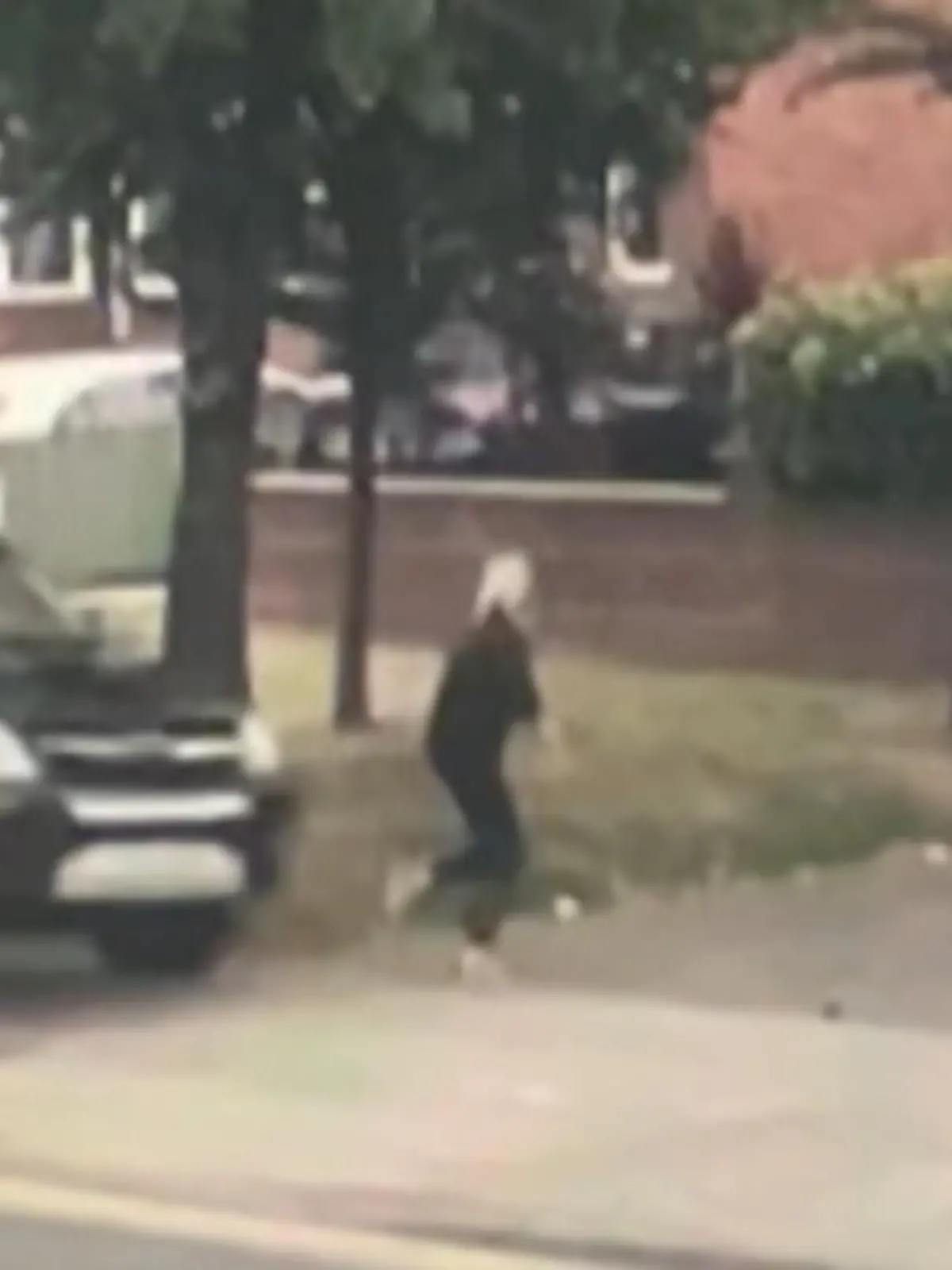Ein außer Kontrolle geratener SUV verfehlt Kimberly Bridges nur um Millimeter – der Außenspiegel streift sogar ihren Rücken. Dass sie diesen beängstigenden Zwischenfall unverletzt übersteht verdankt sie ihrem Boxer-Mischling Orla.