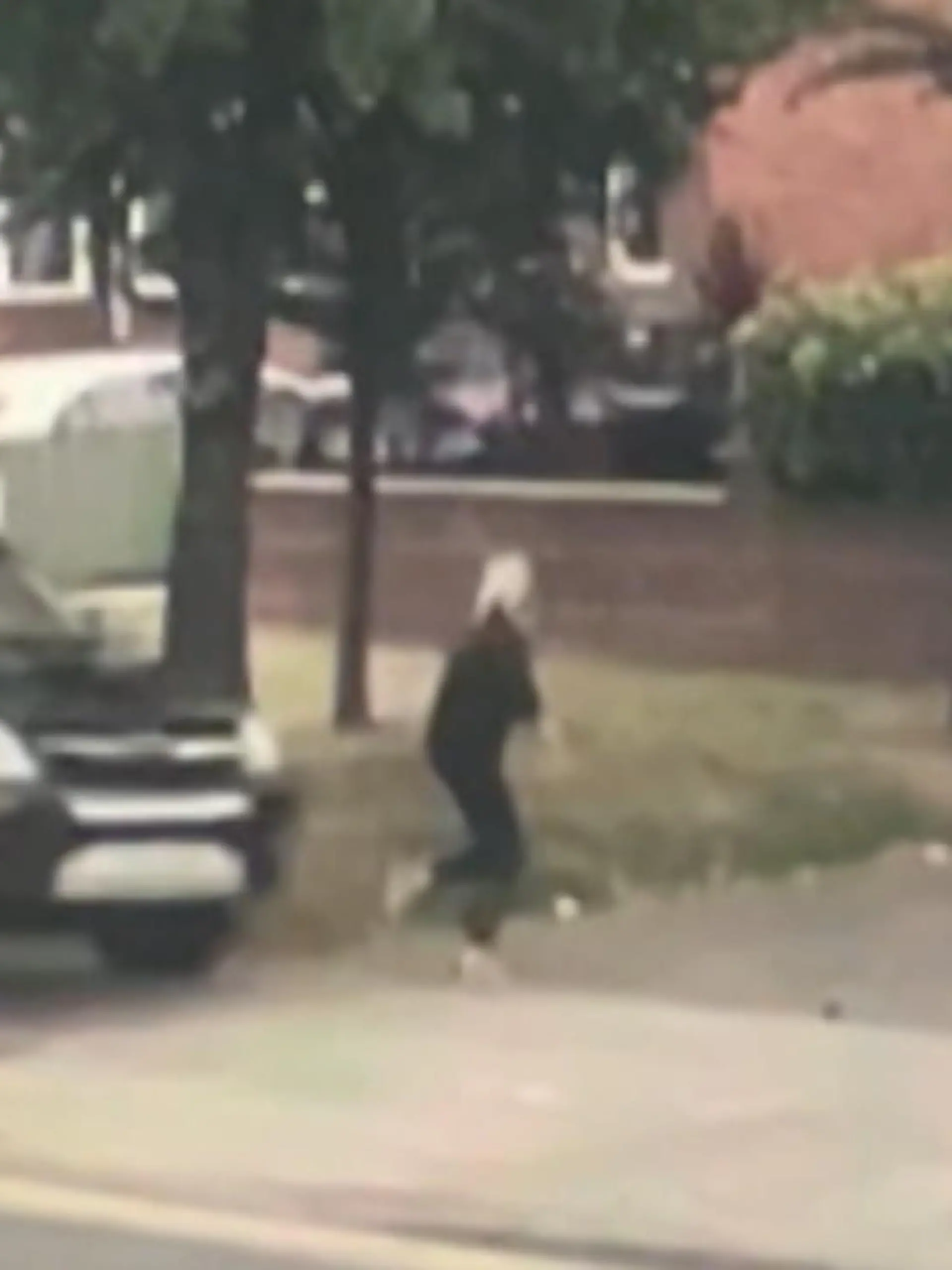 Ein außer Kontrolle geratener SUV verfehlt Kimberly Bridges nur um Millimeter – der Außenspiegel streift sogar ihren Rücken. Dass sie diesen beängstigenden Zwischenfall unverletzt übersteht verdankt sie ihrem Boxer-Mischling Orla.