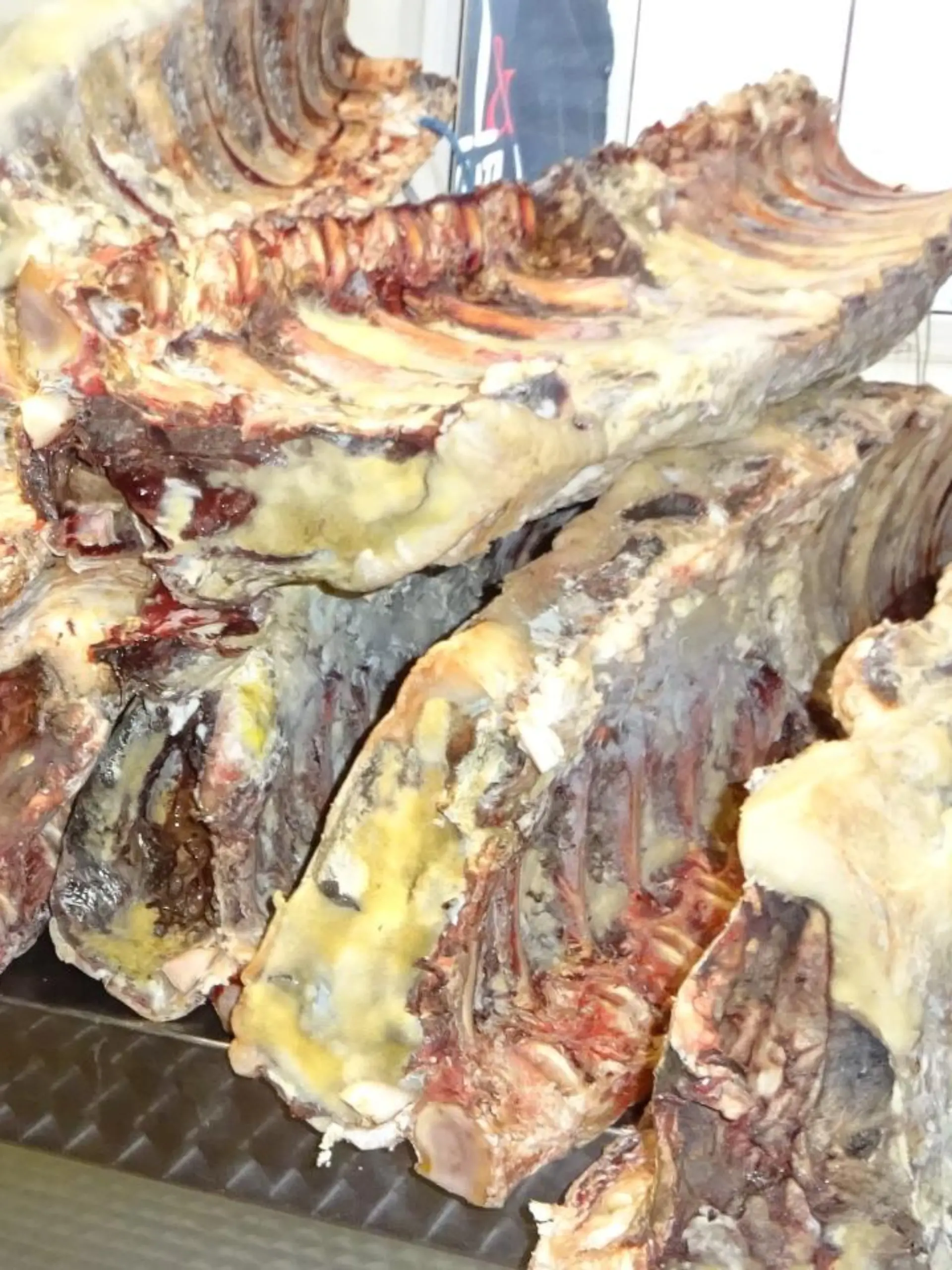 Vergammeltes Fleisch in Frankfurter Metzgerei