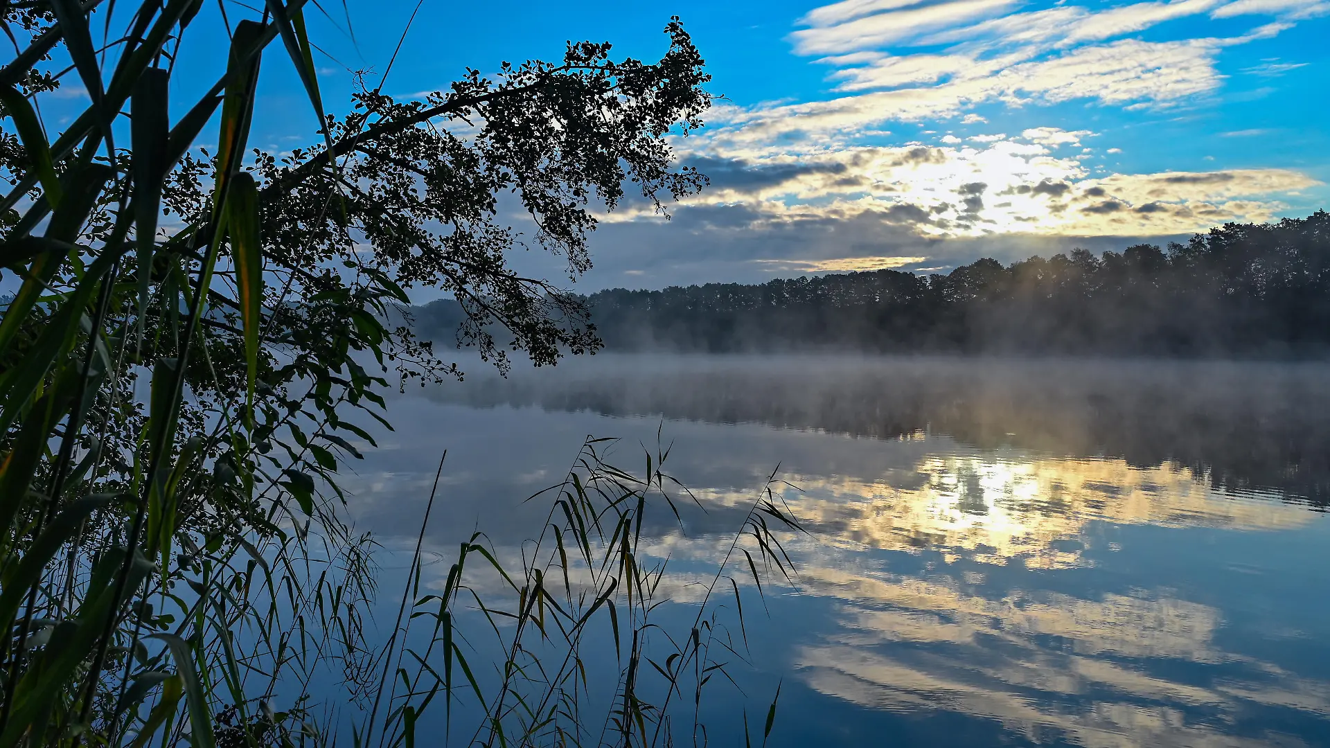 Sonne legt sich bei bis zu 20 Grad ins Zeug Heiter nach Frühnebel-Auflösung