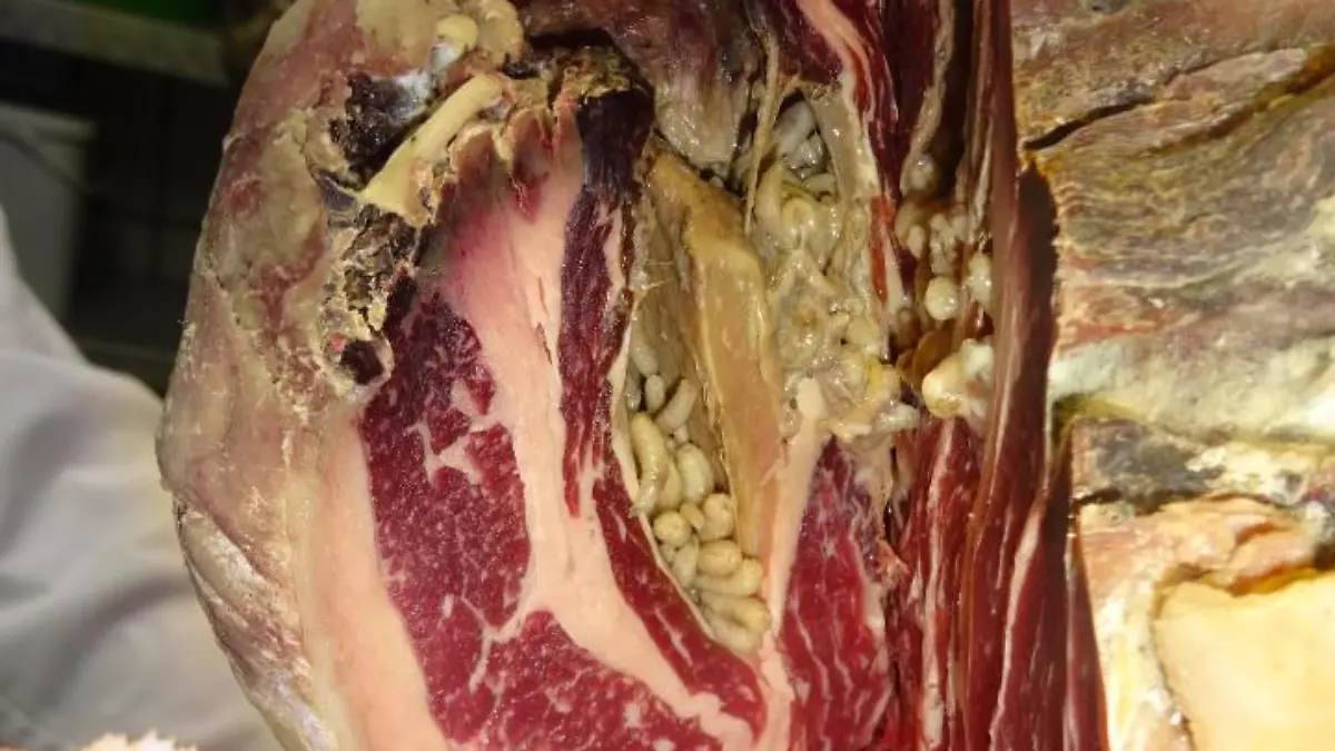 Vergammeltes Fleisch in Frankfurter Metzgerei