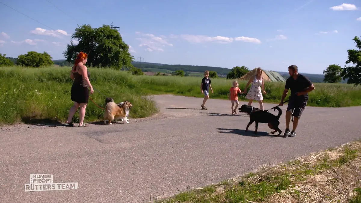 Zuhause lieb, draussen Ausnahmezustand Hundebegegnungen