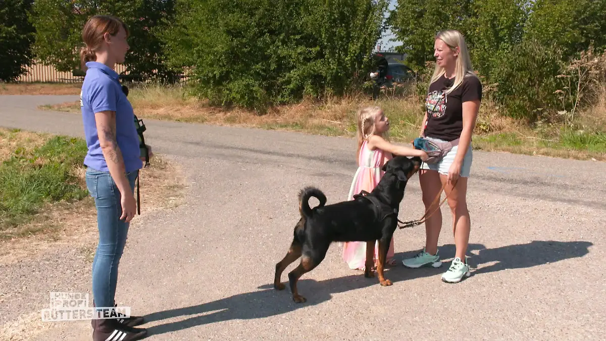 Erfolg auf ganzer Linie bei Linda Training hat sich gelohnt