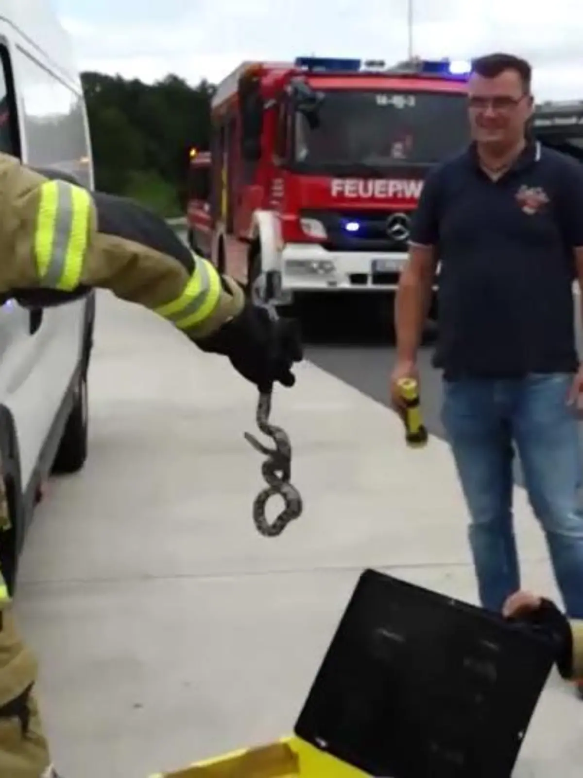 Die Feuerwehr Groß Ippener holt eine Kornnatter aus dem Motorraum eines Transporters.