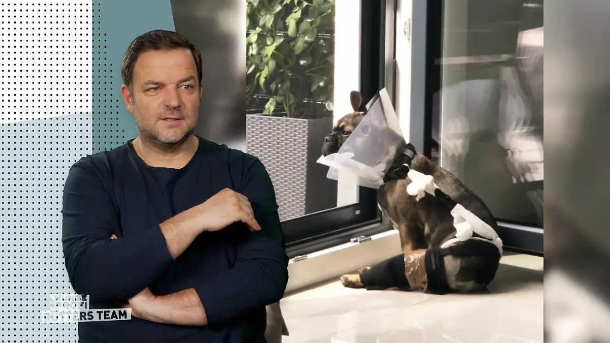 Hohe Verletzungsgefahr bei Louie Zu wild