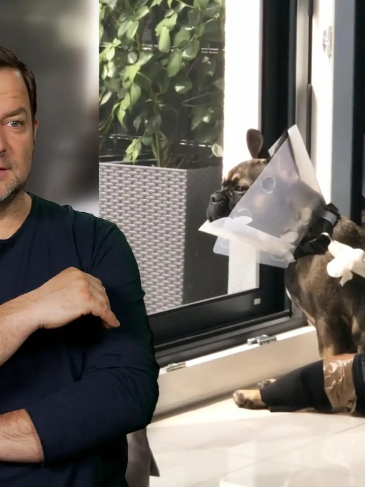 Bild zu: "Hohe Verletzungsgefahr bei Louie"