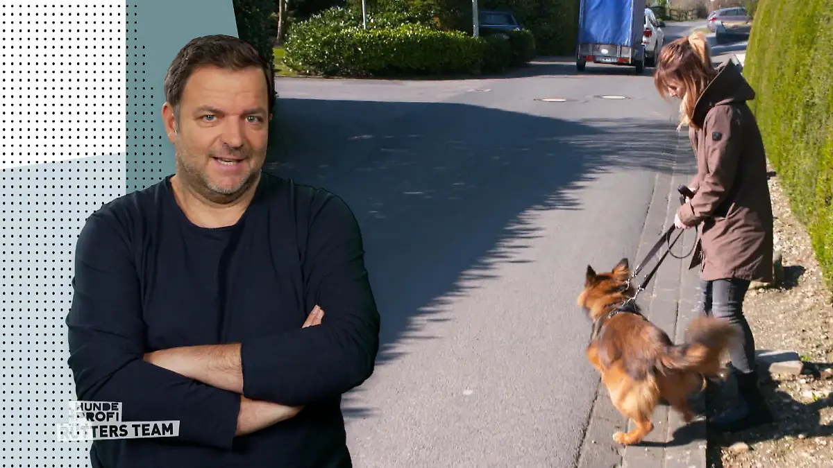 Baku ist völlig außer Rand und Band Keine Grunderziehung