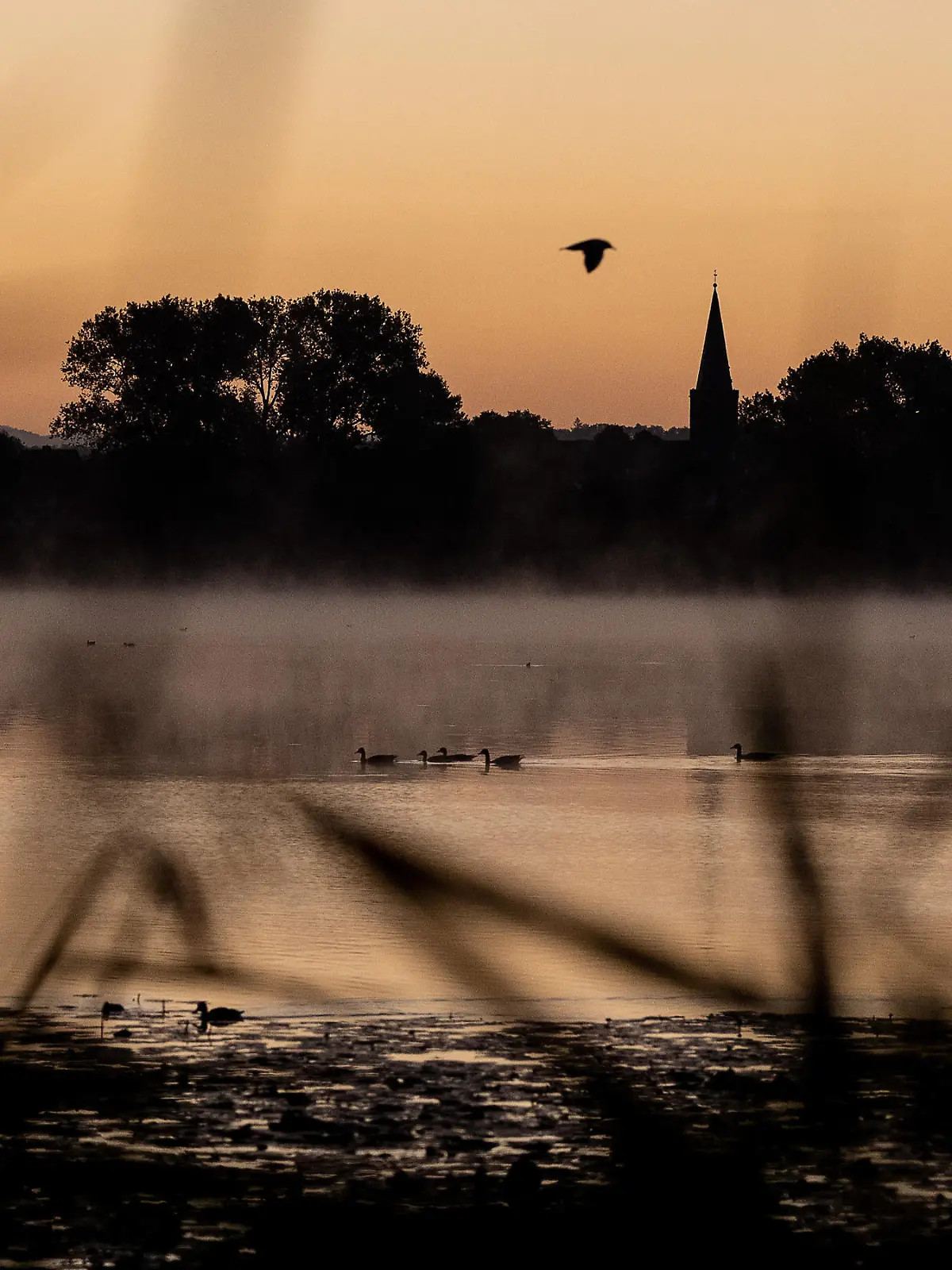 Bild zu: "Temperaturen am Dienstag versprühen Hauch von Herbst"