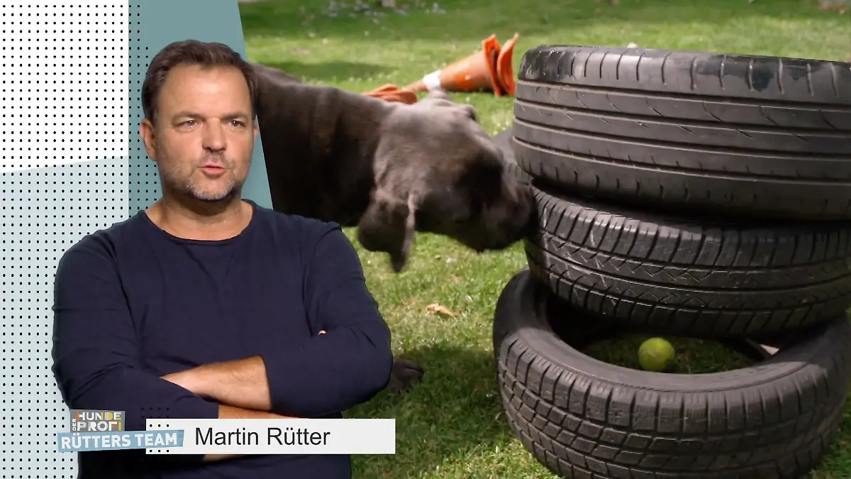 Hector hat mehr Auslastung als je zuvor „Das läuft ja wirklich gut“
