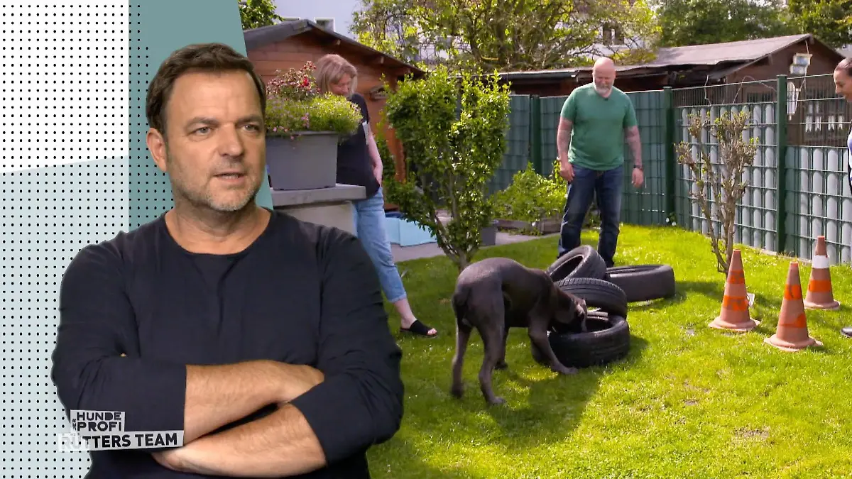 Hector bei der Arbeit „Endlich ist Bewegung drin“
