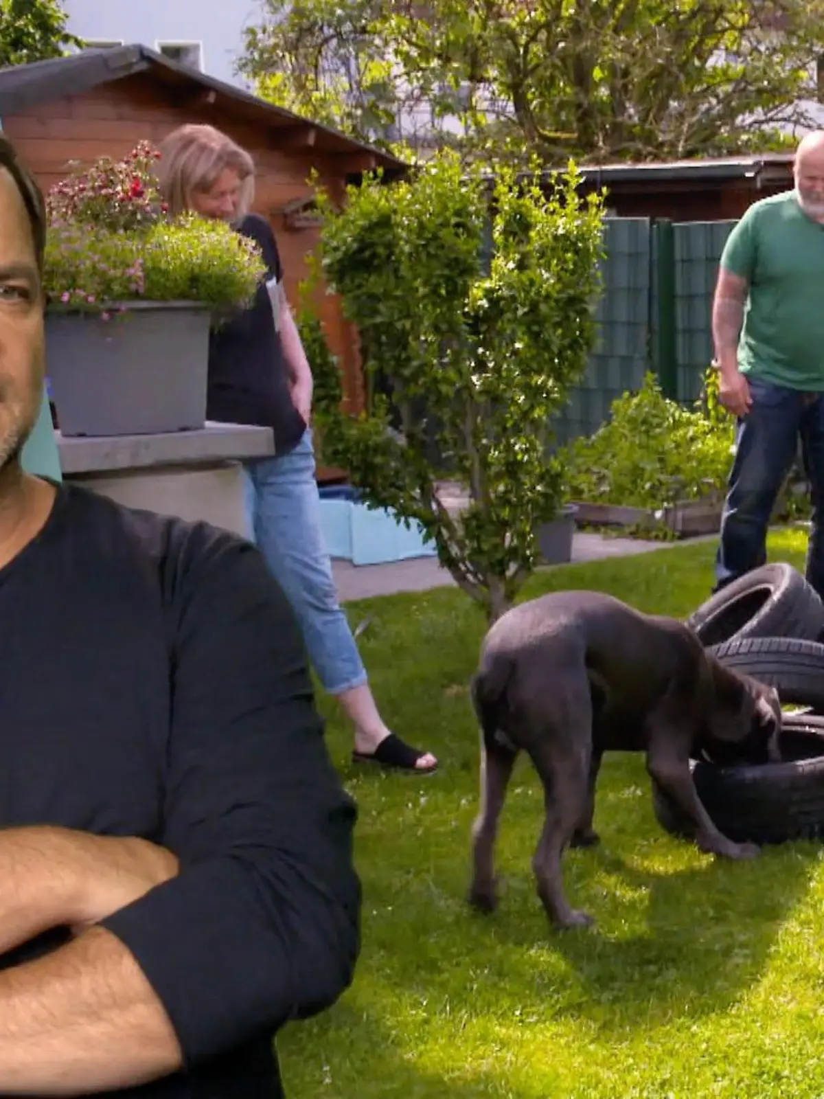 Bild zu: "Hector bei der Arbeit"