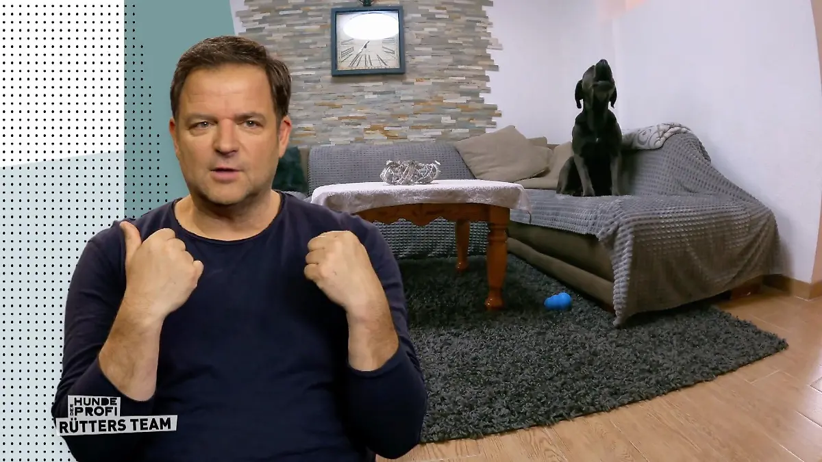 Hector kann nicht allein gelassen werden „Heult wie ein Schlosshund“