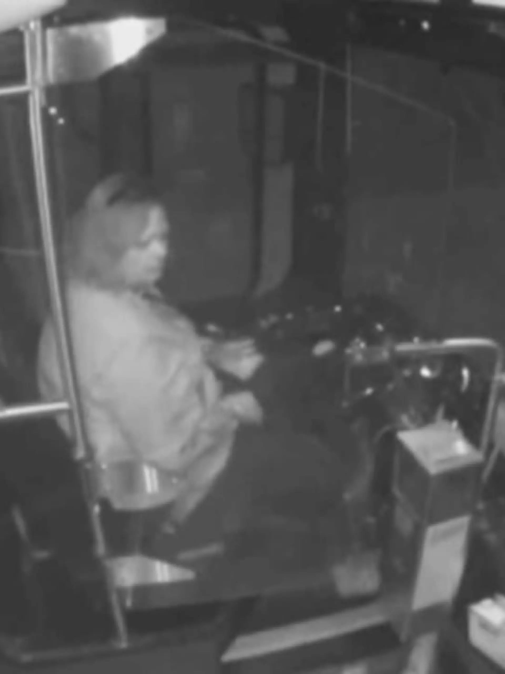 Eine Busfahrerin aus Oklahoma hatte Glück im Unglück: Ein Reh springt in die Frontscheibe ihres Busses. Beide bleiben unverletzt.
