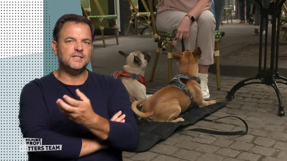 Abschlussbesuch bei Elfie und Bruno „Sehr gut!“