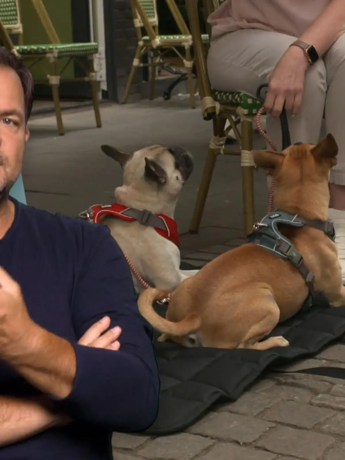 Bild zu: "Abschlussbesuch bei Elfie und Bruno"