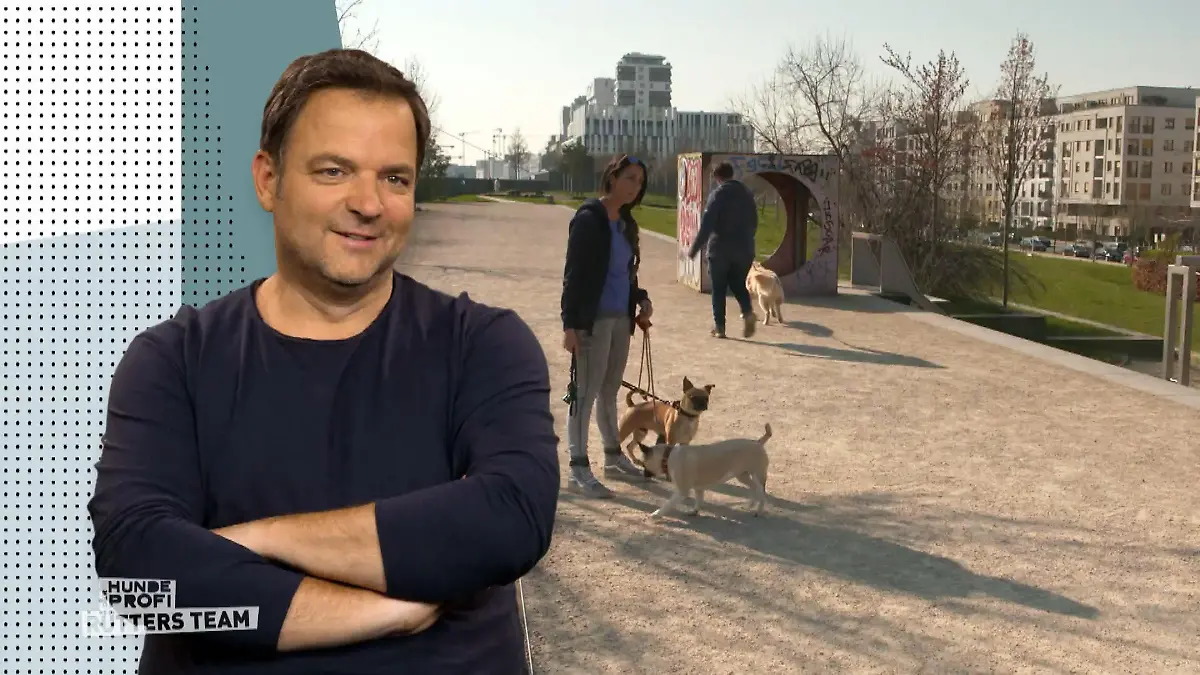 „Die wollen ihr Frauchen beschützen“ Kernproblem Besitzerin?