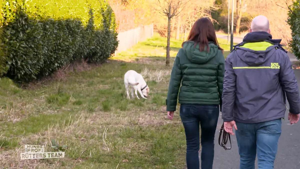 Nala kann den Kot nicht in Ruhe lassen Gefundenes Fressen