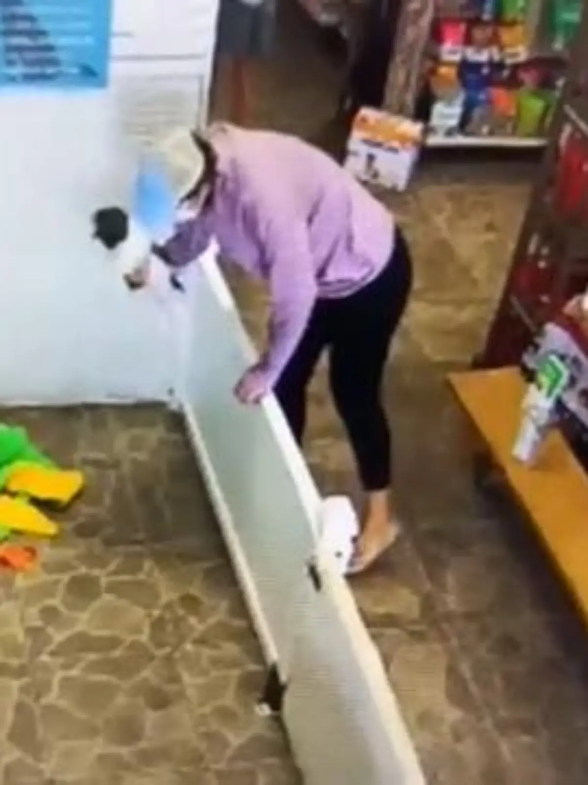 Eine Frau kommt in eine Tierhandlung rein und spielte mit dem Welpen in diesem Bereich. Sie wird von einem Mitarbeiter aufgefordert, den Welpen zurück in den Laufstall zu legen, was sie nicht tut. Dann steckte sie den Welpen unter ihre Jacke und geht zur Tür hinaus.