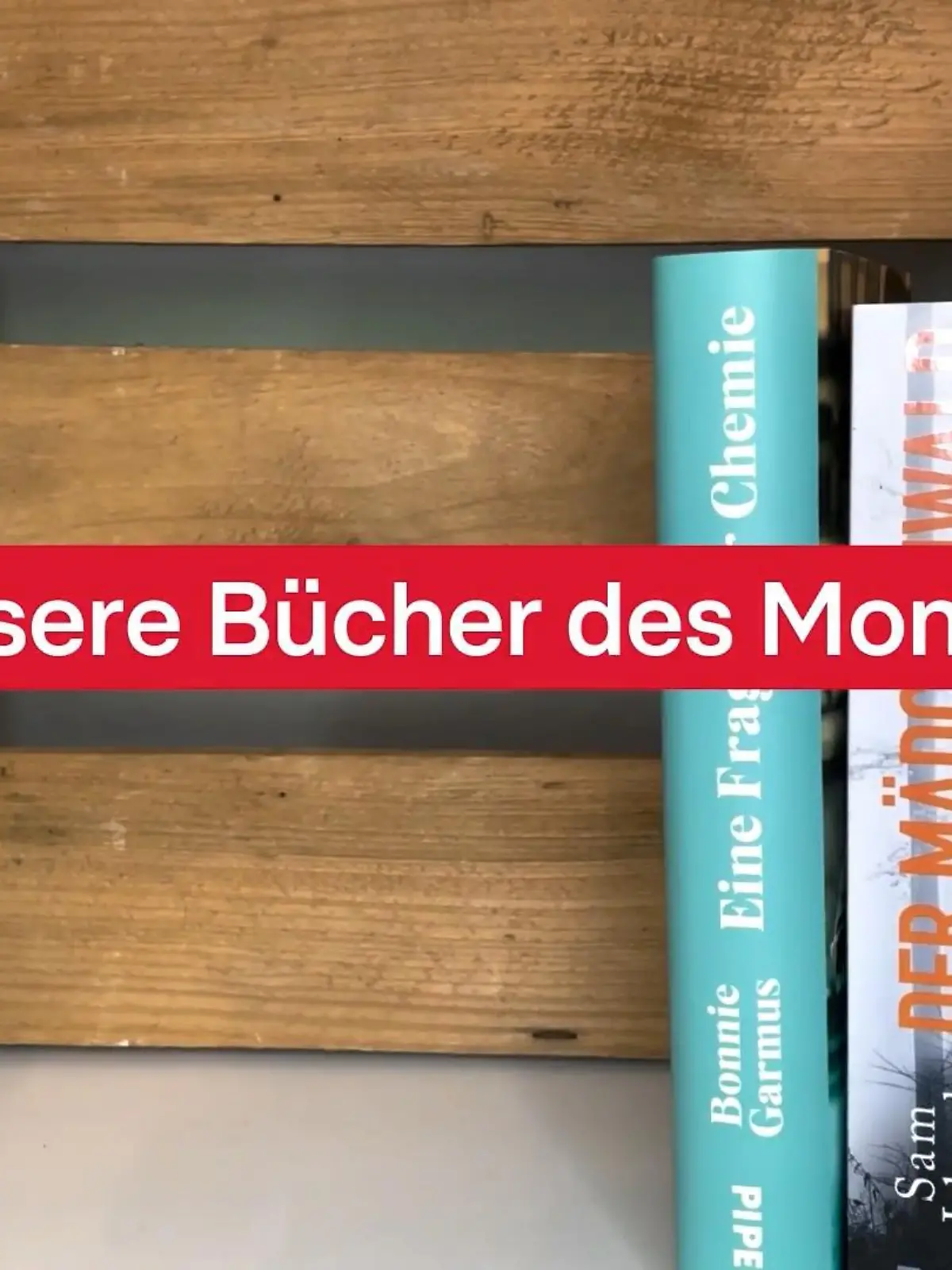 Bild zu: "Bücher des Monats Mai"
