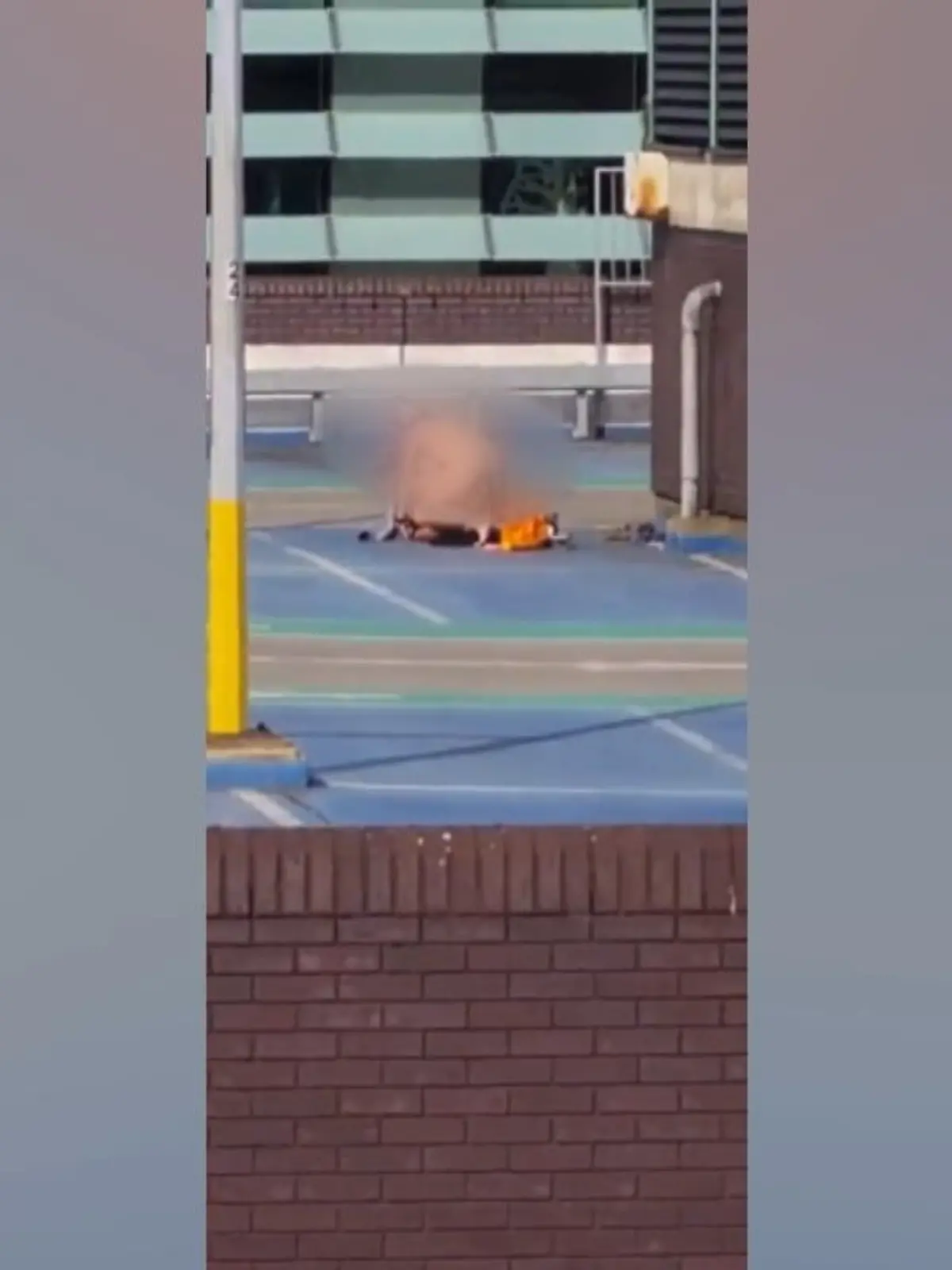 Trotz 38 Grad Celsius und Mittagssonne vergnügt sich dieses Paar auf einem Parkhausdach in Birmingham (England). Dass sie bei ihrem Höhepunkt Zuschauer haben, stört sie nicht.