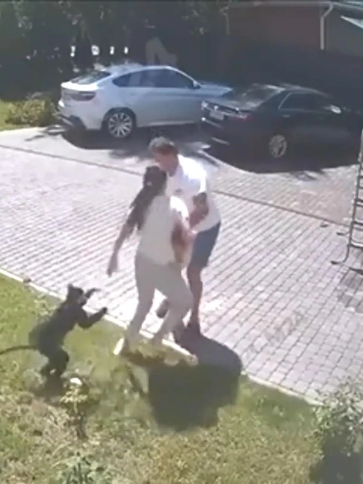 Spielende Kinder werden urplötzlich von einem offenbar wild gewordenen Affen brutal in einem russischem Zoo angegriffen. Während die Älteren wegrennen, ist ein Kleinkind dem Angriff des Tieres schutzlos ausgeliefert.