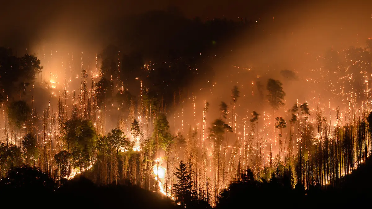 26.07.2022, Tschechien, Hrensko: Blick auf den Waldbrand im tschechischen Nationalpark Böhmische Schweiz in Hrensko nahe der Grenze zu Sachsen. Der Brand breitet sich inzwischen auch auf deutscher Seite im Nationalpark Sächsische Schweiz aus. Foto: Robert Michael/dpa +++ dpa-Bildfunk +++