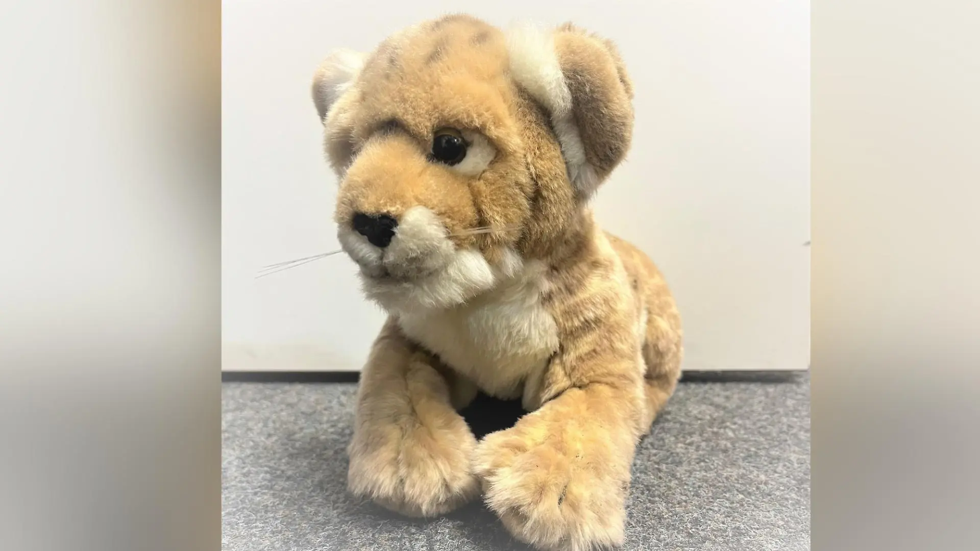 Plüschleopard "Simba" wurde von der Autobahnpolizei auf der A1 entdeckt.