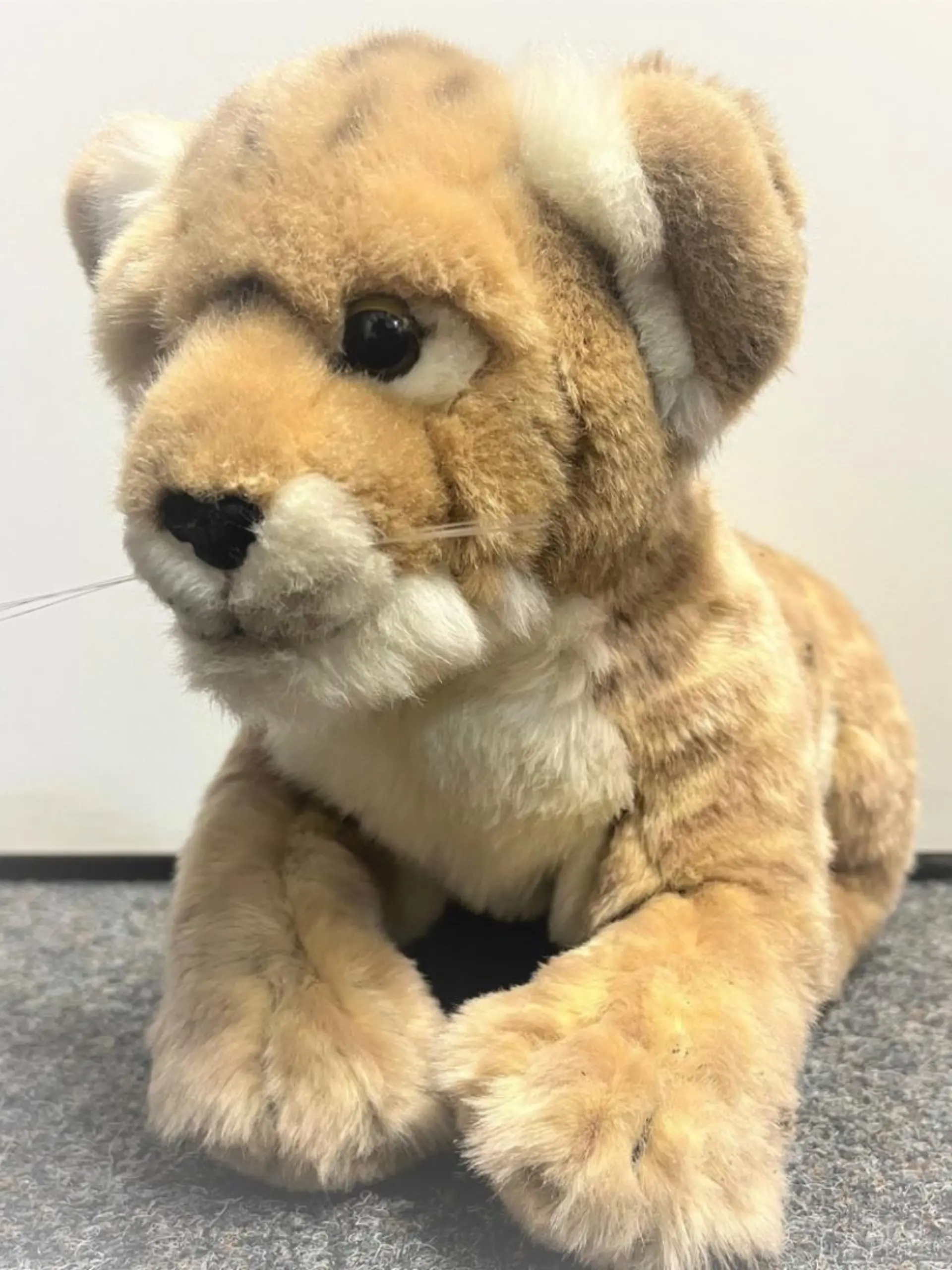Plüschleopard "Simba" wurde von der Autobahnpolizei auf der A1 entdeckt.