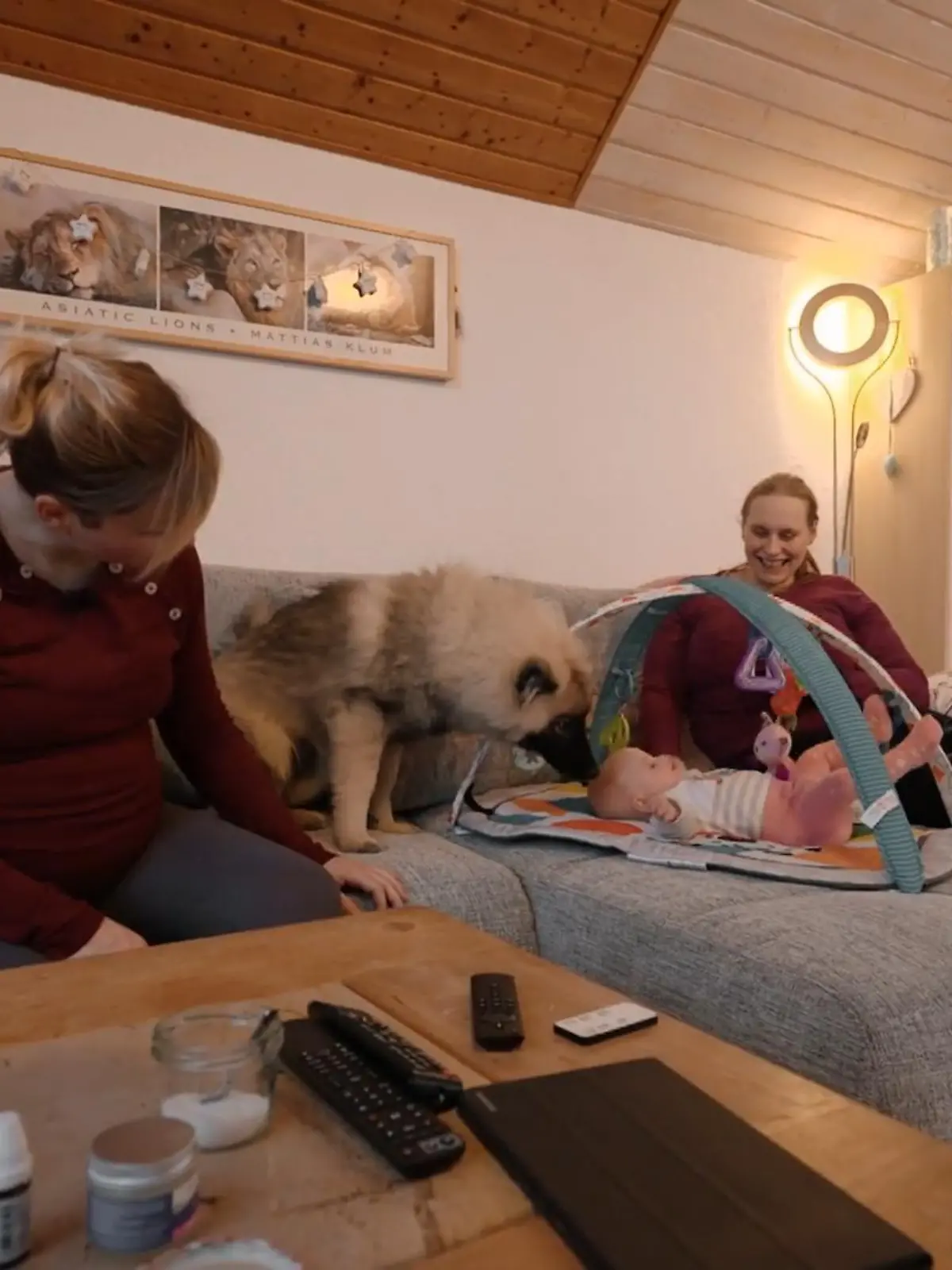 Bild zu: "Ein Kniescheibenvorfall durch die Hundekumpels"