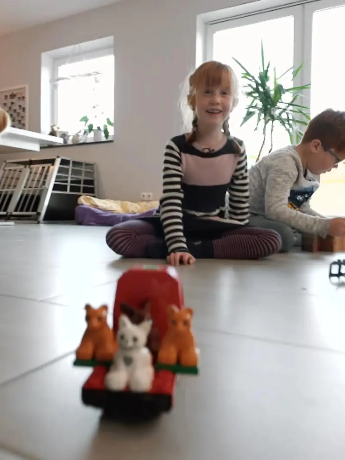 Bild zu: "Golden Retriever Aileen ist super aktiv"