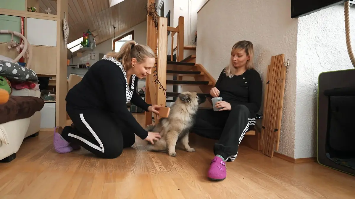 Vor der Bürste läuft Matti weg Nur Futter hilft