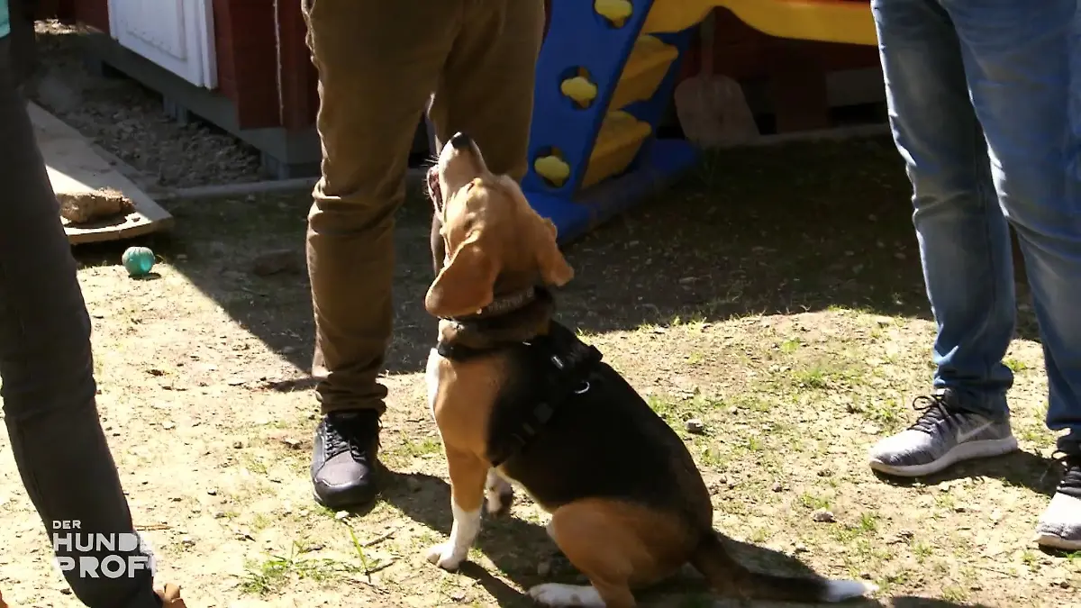 Martin findet ein paar besorgniserregende Dinge heraus An die Arbeit!