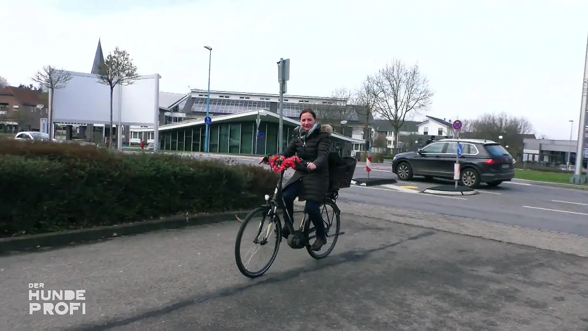 Hund Cosmo kann Fahrradfahren nicht leiden Cosmo schreit wie ein Mensch