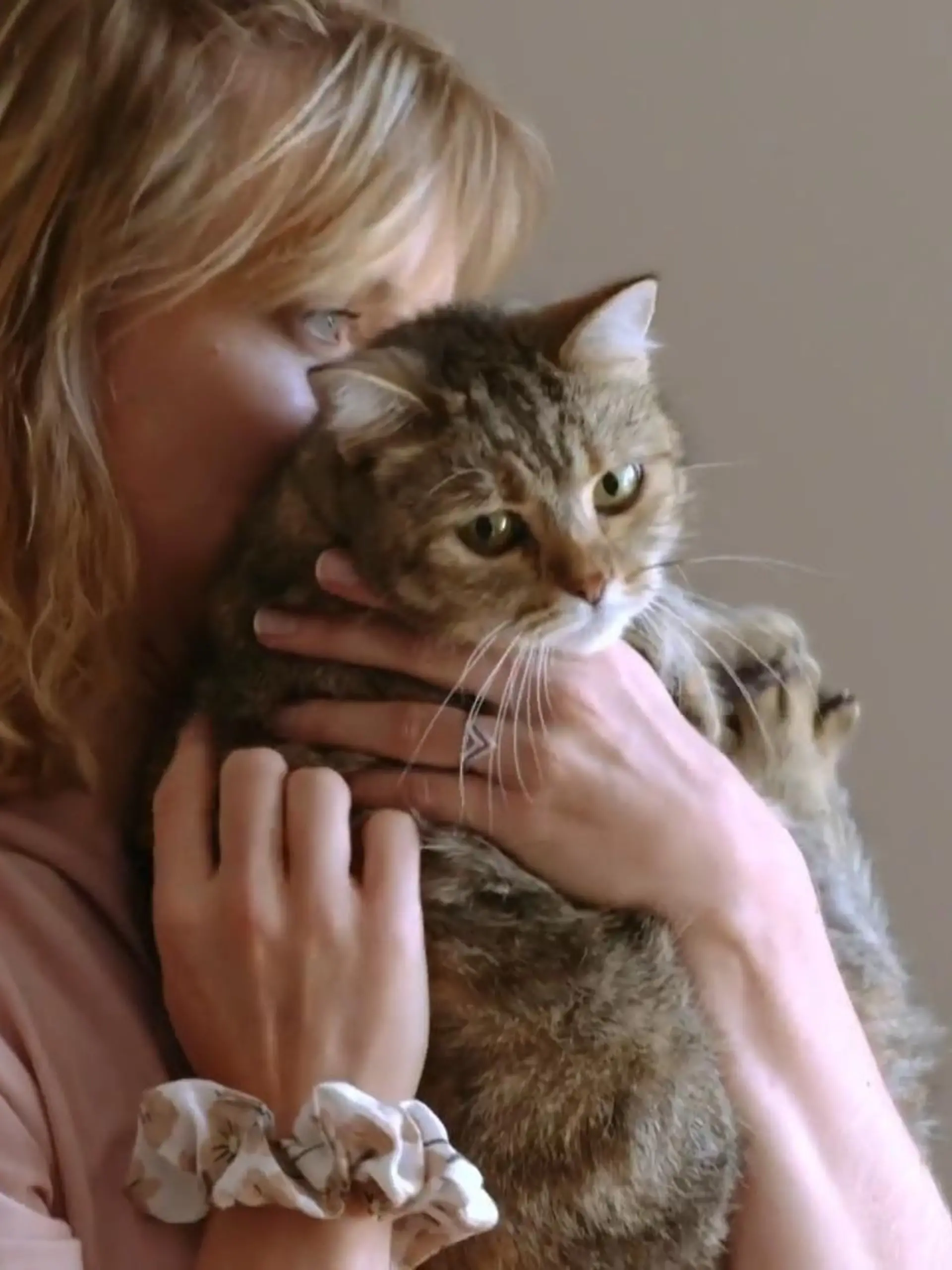 Bild zu: "Katzenmama Julia liebt Luna und Lupo über alles"