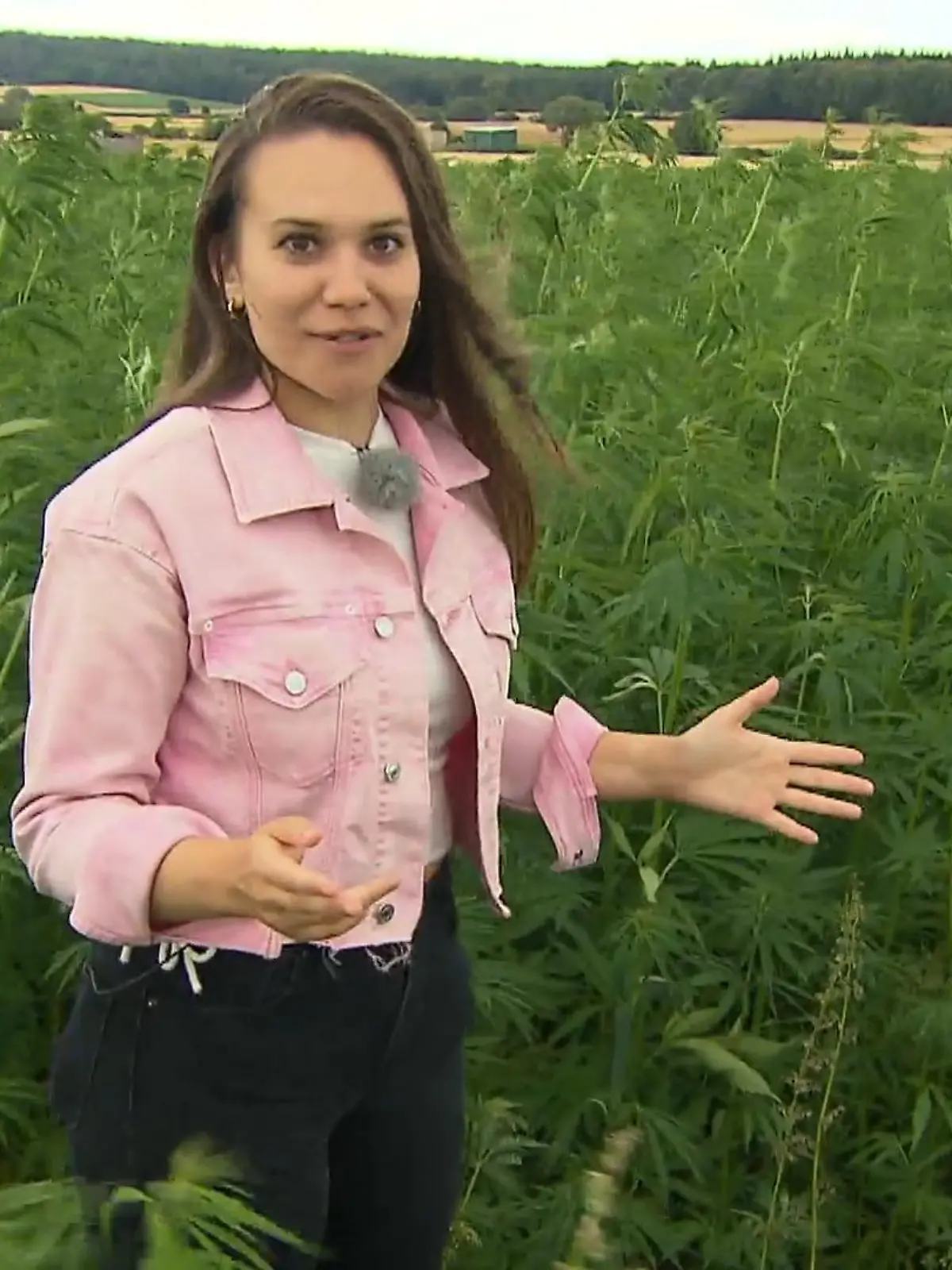 RTL-Reporterin Rebekka Bednorz begibt sich in die Tiefen des Hanf-Labyrinths.