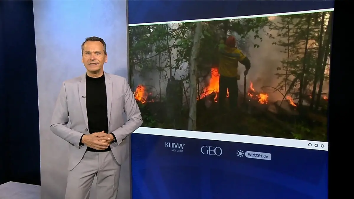 Waldbrände und Perlmuttwolken sorgen für Ozonabbau Ozonschicht weiter in Gefahr