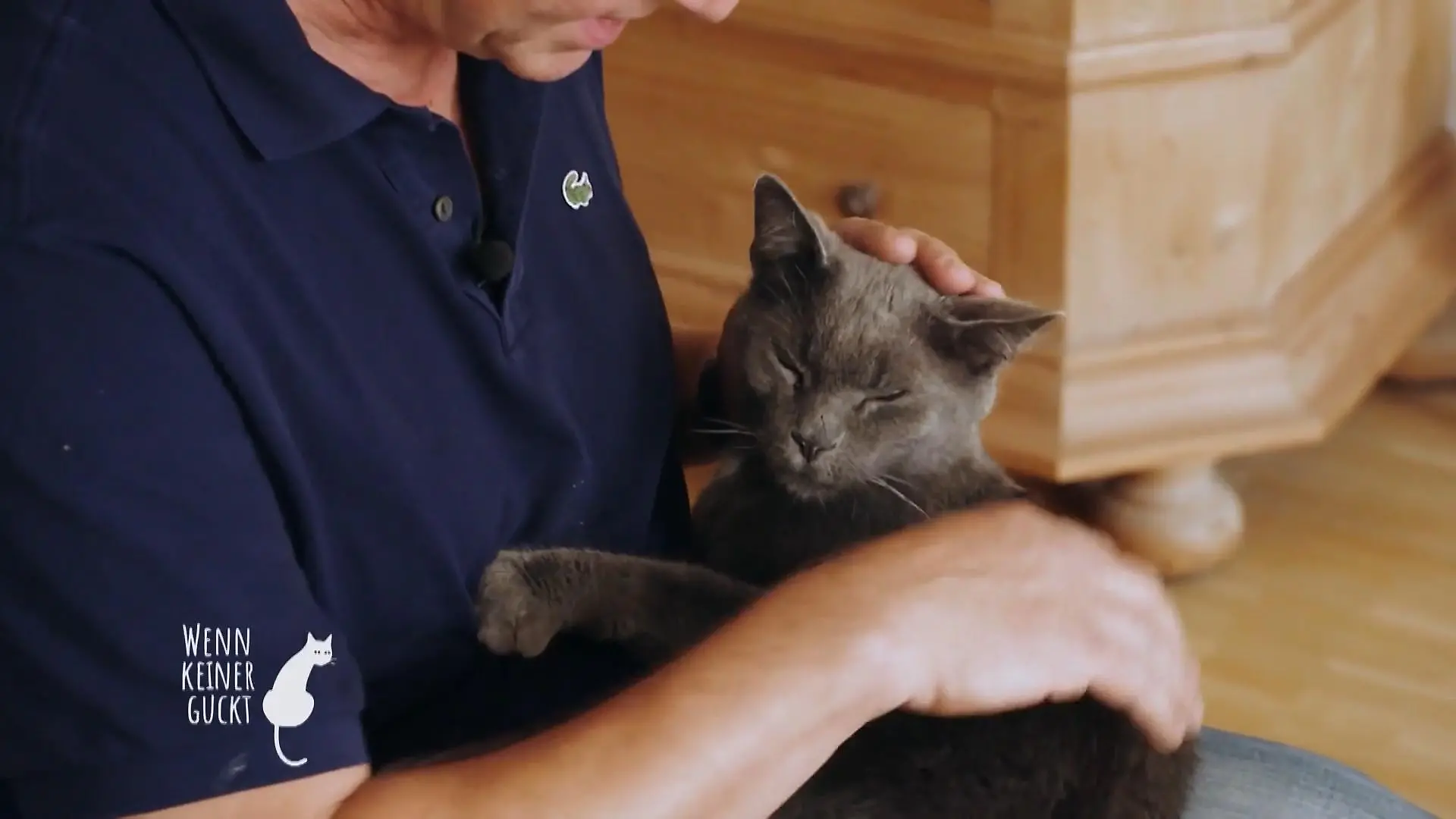 Die beiden haben eine besondere Beziehung Ein Schmusekater