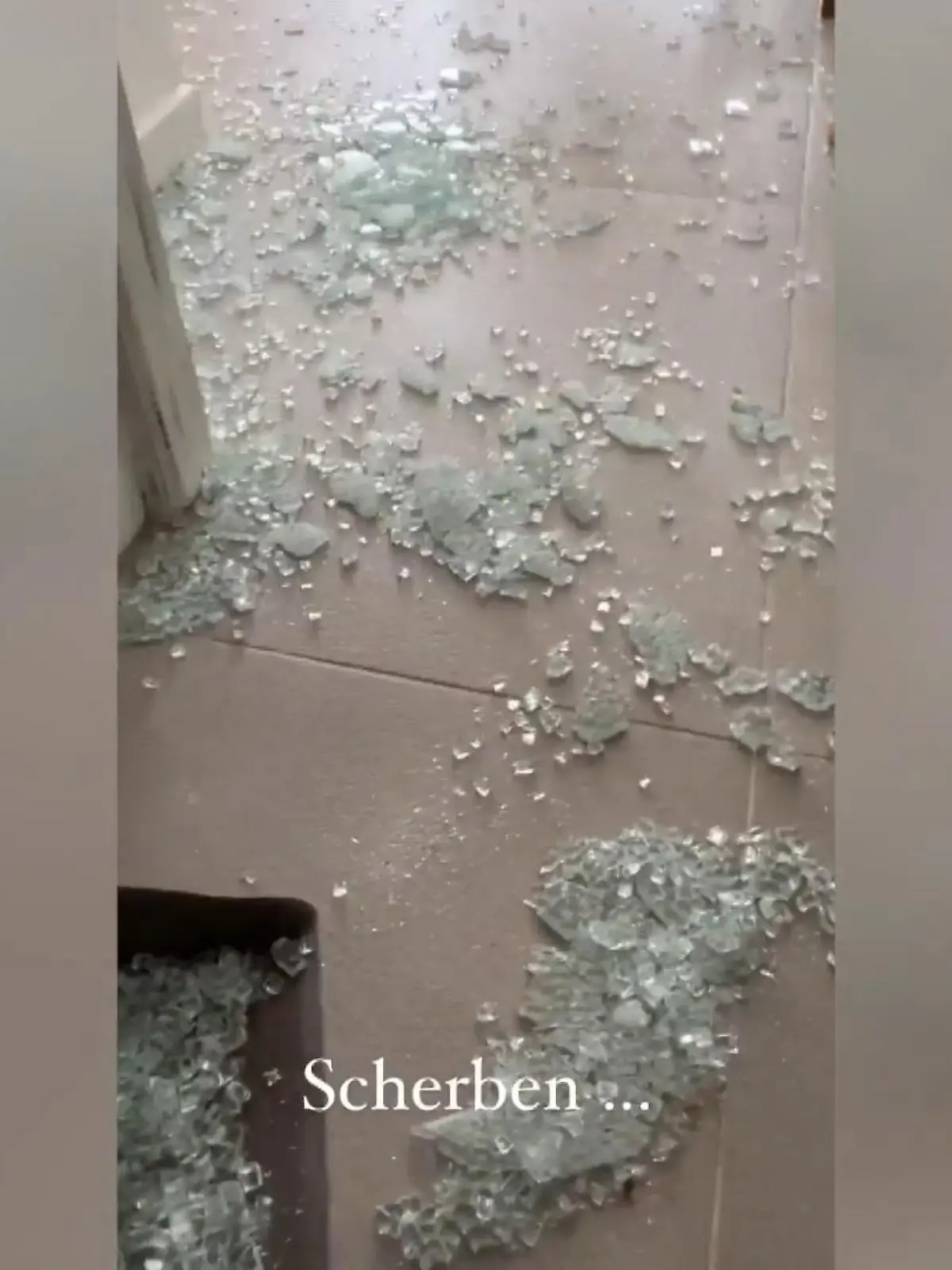 Bild zu: "Beim Umzug von Jessica & Johannes Haller gibt es Scherben"