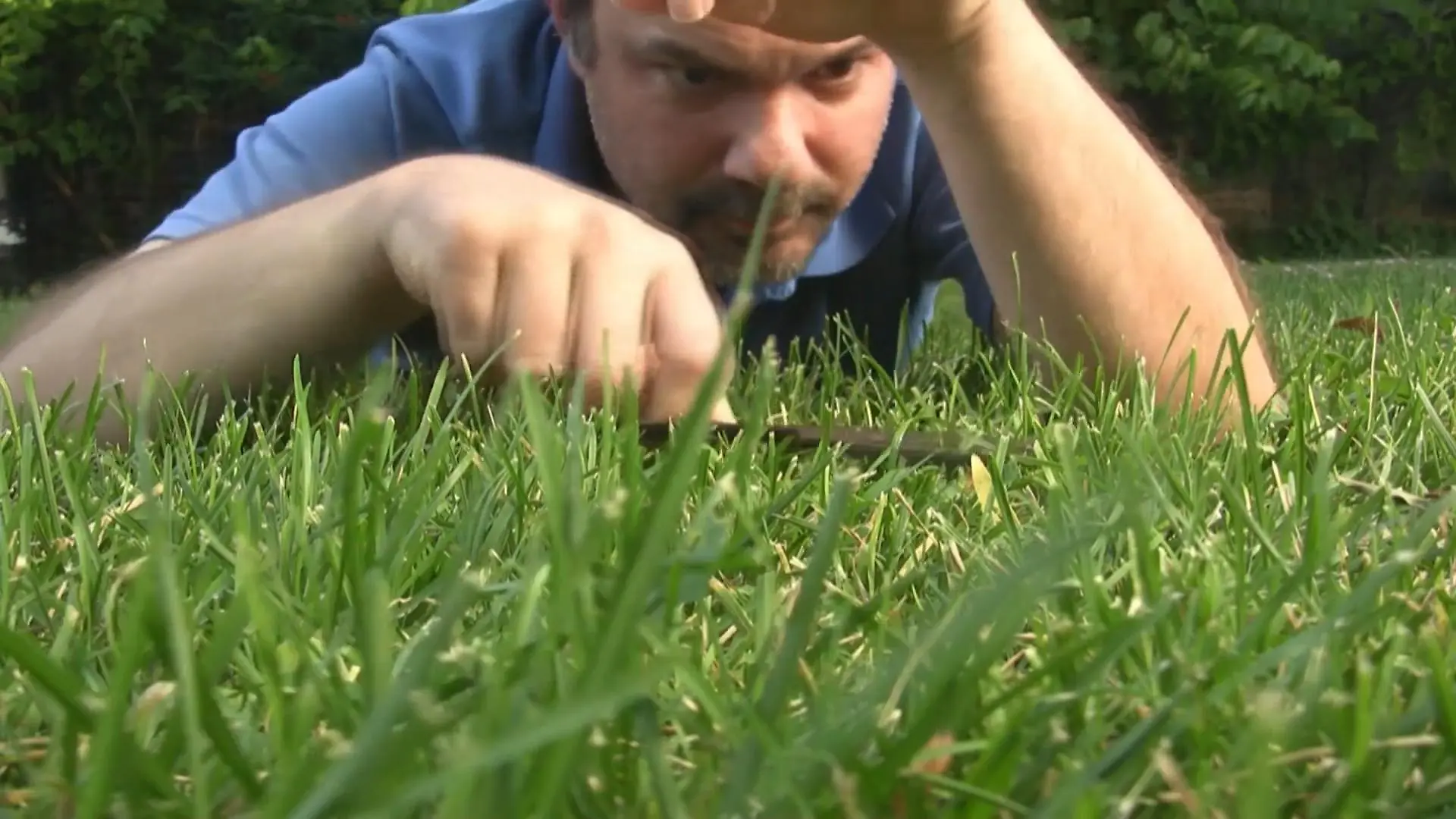 Gartenarbeit im März: Die 5 wichtigsten To Dos vorm Frühling Nicht nur der Rasen sollte vorbereitet werden