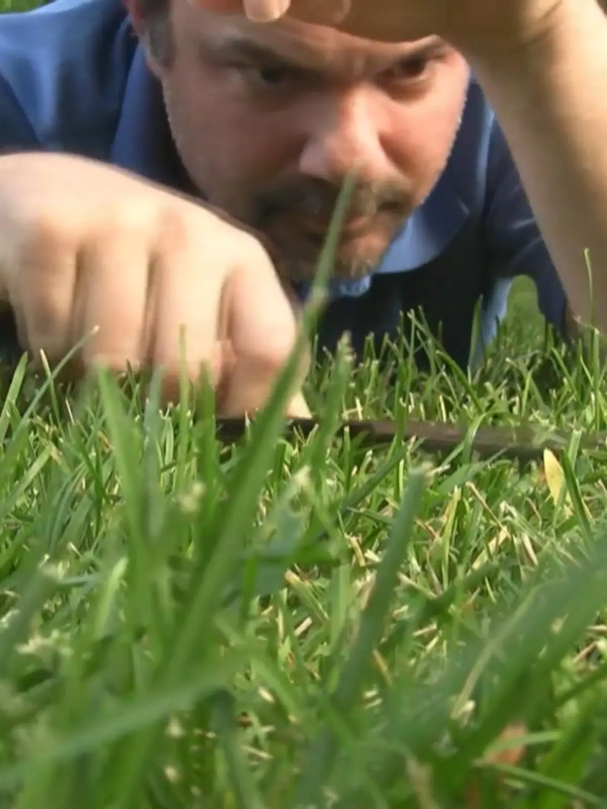 Bild zu: "Gartenarbeit im März: Die 5 wichtigsten To Dos vorm Frühling"
