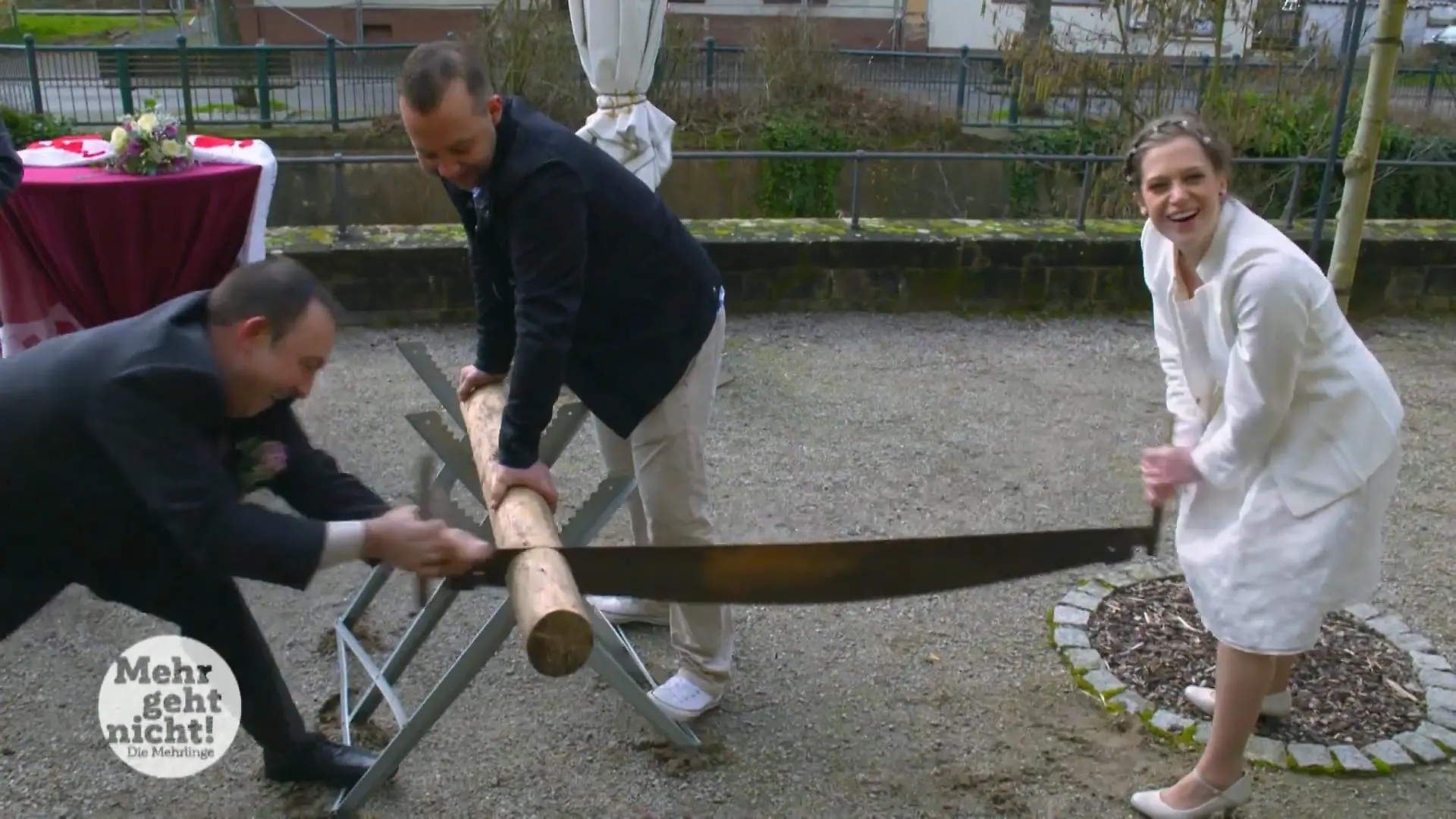 Einen Baumstamm als Test für die Ehe durchsägen Ganz schön anstrengend