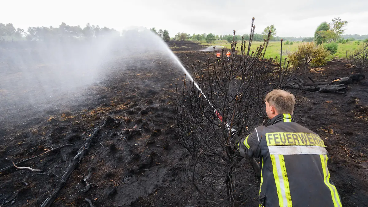 22.07.2022, Niedersachsen, Sassenburg: Ein Feuerwehrmann löscht einen Brand im Großen Moor im Landkreis Gifhorn. Am Donnerstag war im Moor ein Feuer auf einer Fläche der Größe von rund 35 Fußballfeldern ausgebrochen. Die Löscharbeiten werden nach Angaben der Feuerwehr voraussichtlich mehrere Tage andauern. Foto: Julian Stratenschulte/dpa +++ dpa-Bildfunk +++